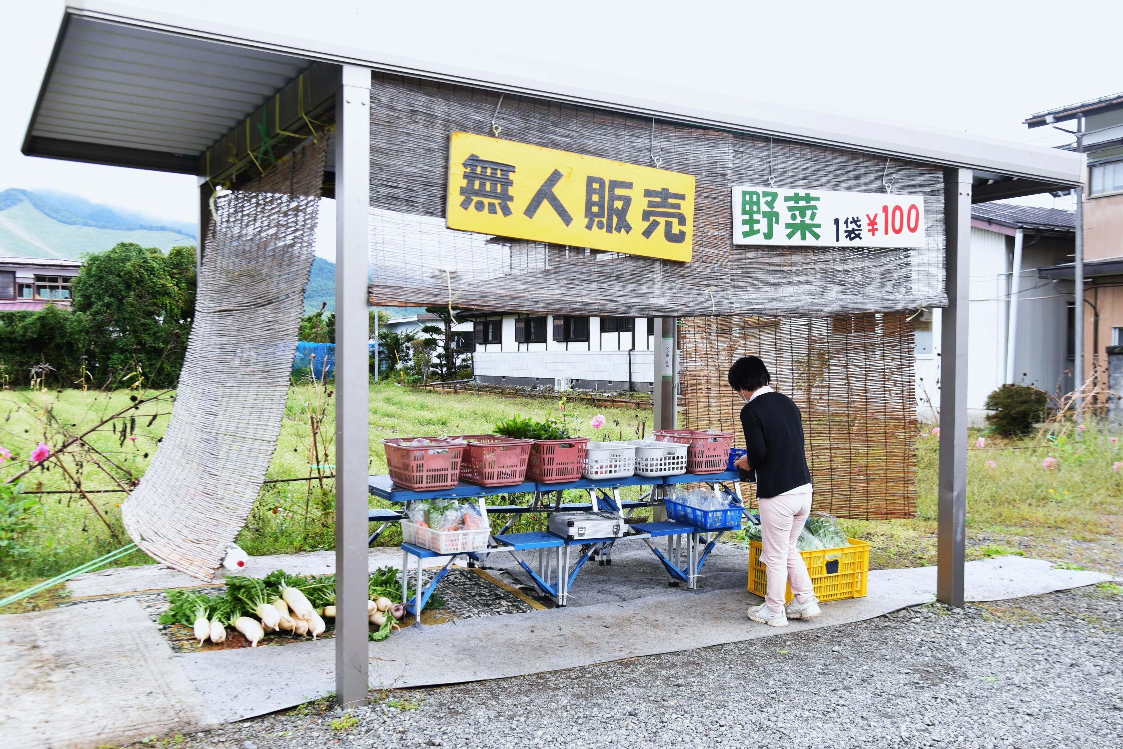 A self-service vegetable stand with various vegetables displayed and a customer selecting items