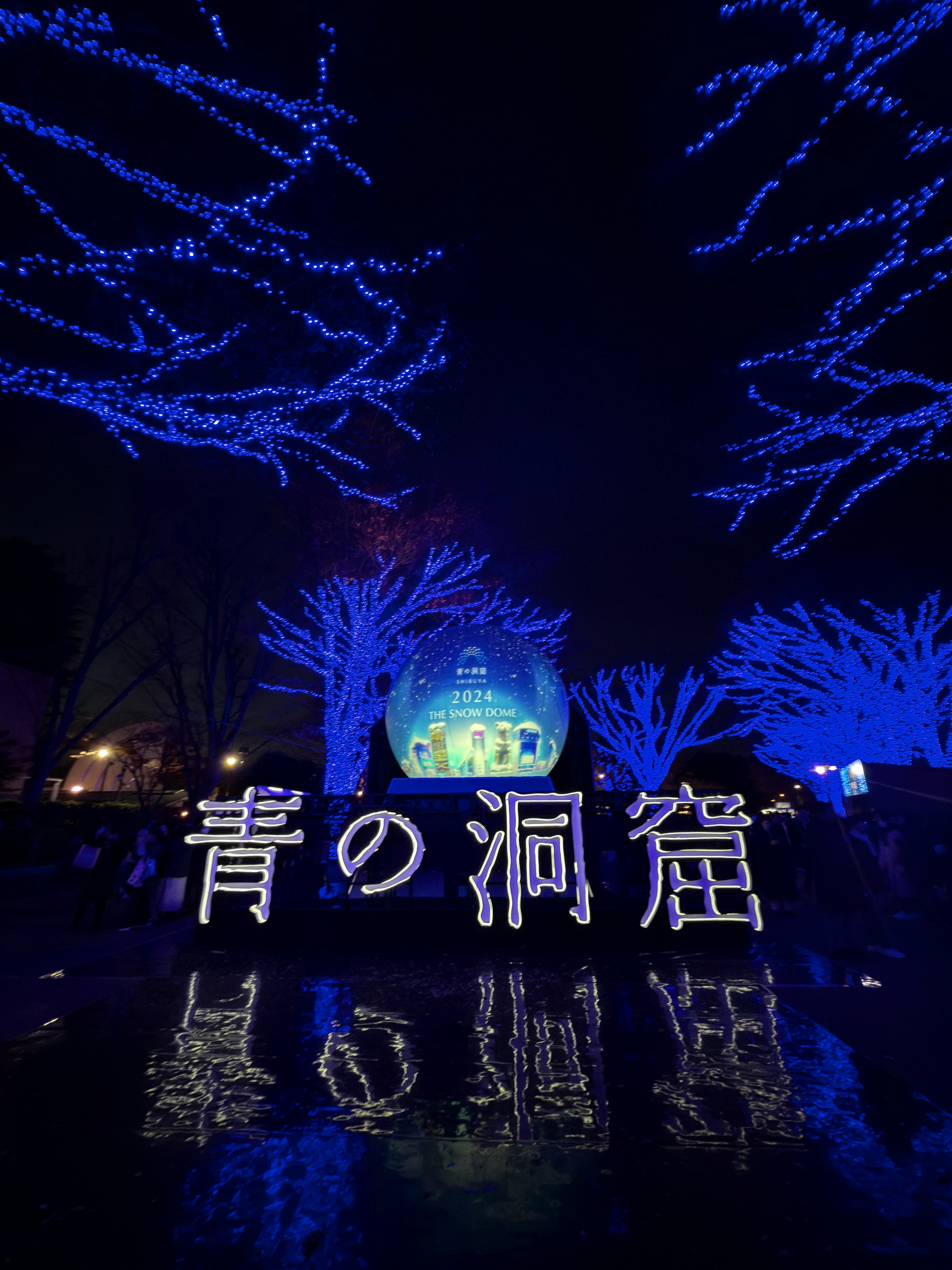 青の洞窟のイルミネーションが美しい夜景