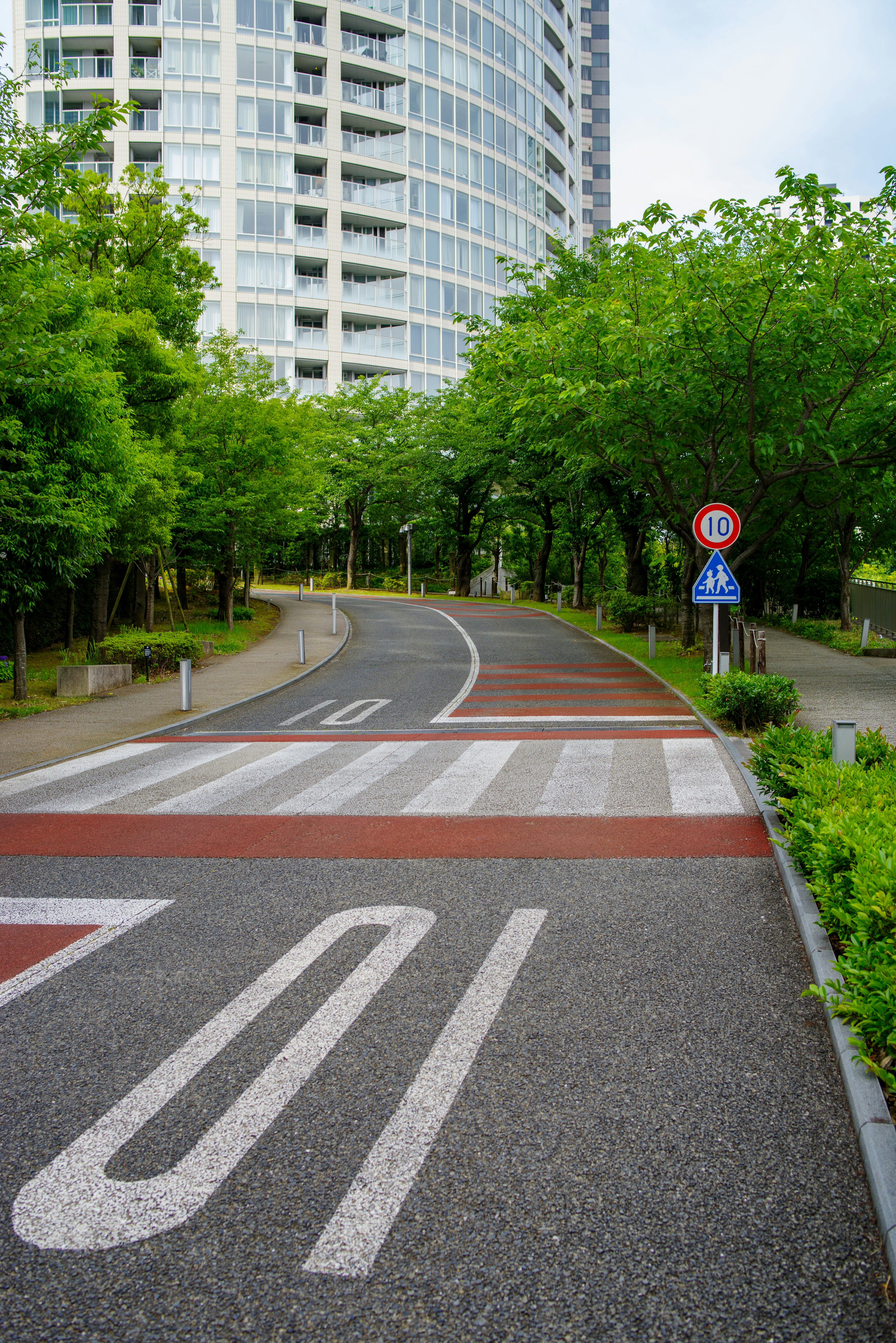 Kurvenstraße umgeben von grünen Bäumen mit Fußgängerüberweg und Verkehrsschildern