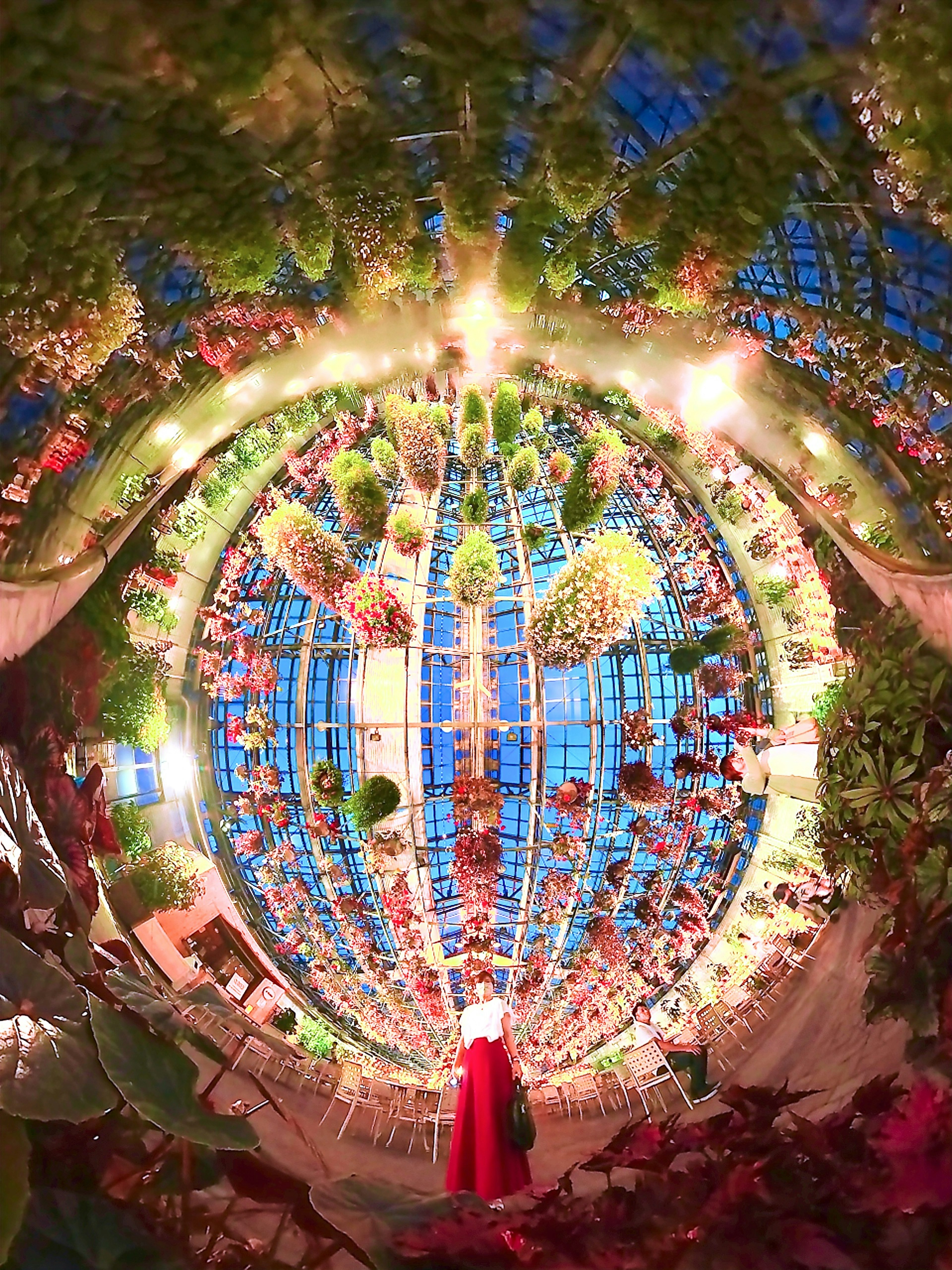 Interior view of a stunning greenhouse filled with vibrant plants and flowers A person in a red dress stands at the center