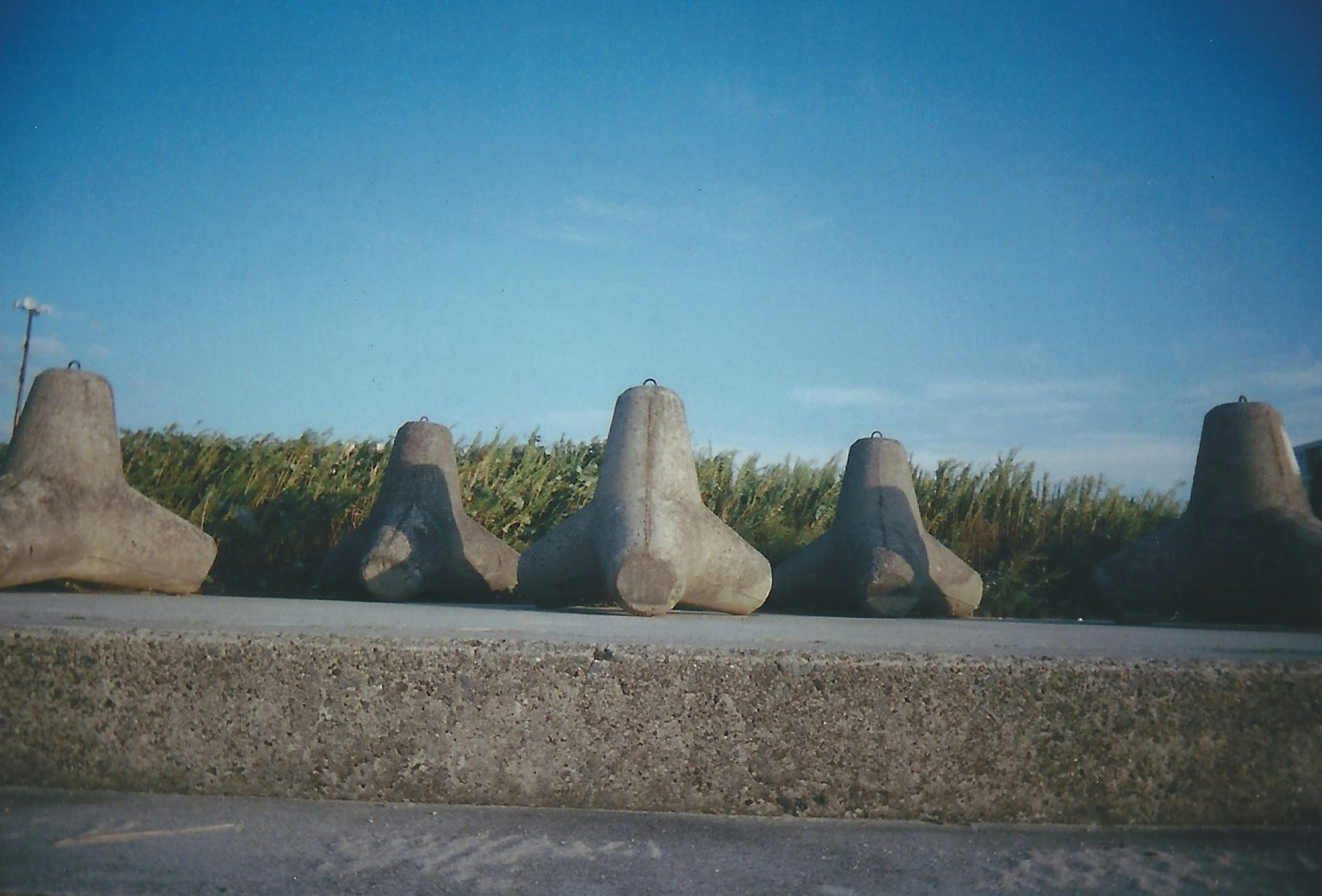 Brise-lames en béton alignés le long de la côte