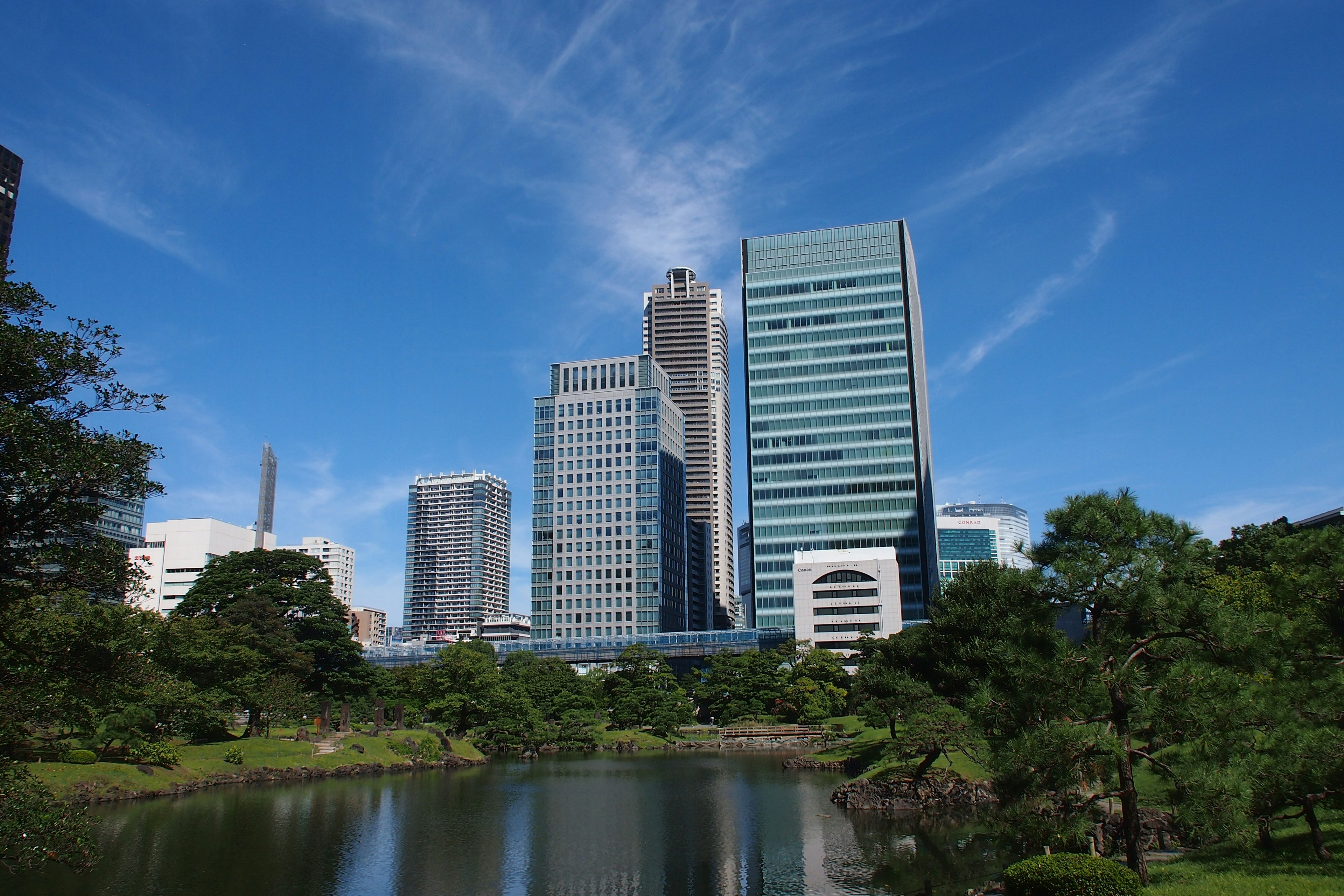 藍天之下的城市風景，高樓大廈和綠樹成蔭的公園以及池塘