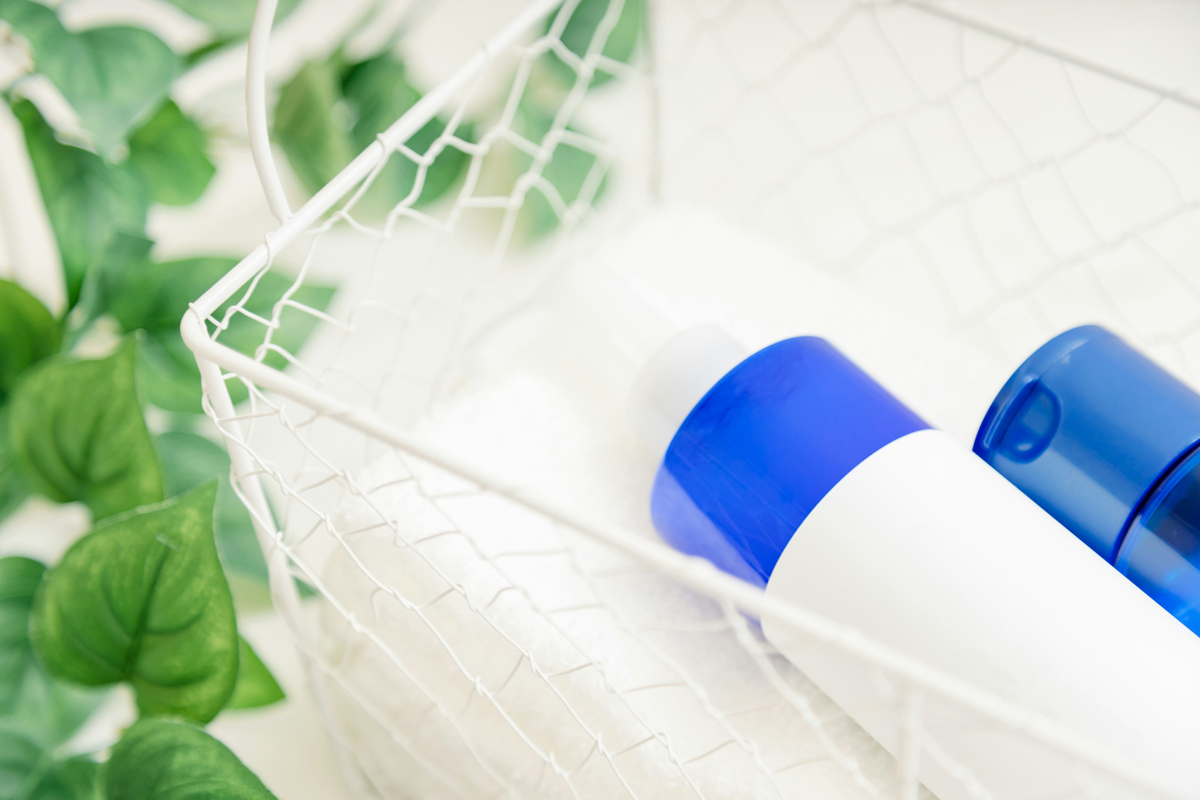 Basket containing a blue-capped bottle and a white bottle with green leaves