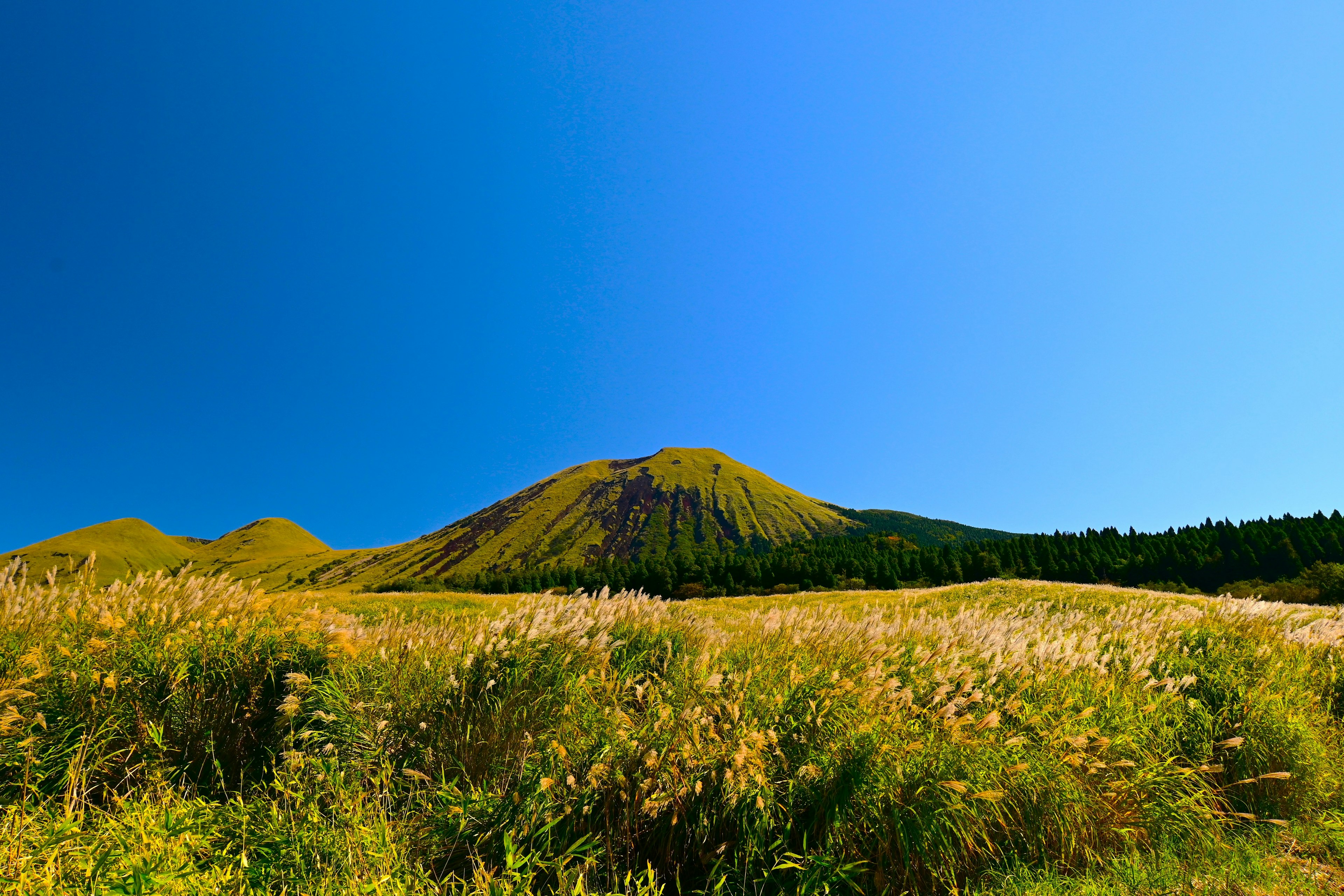 緑の草原と青い空の下にそびえる山の風景