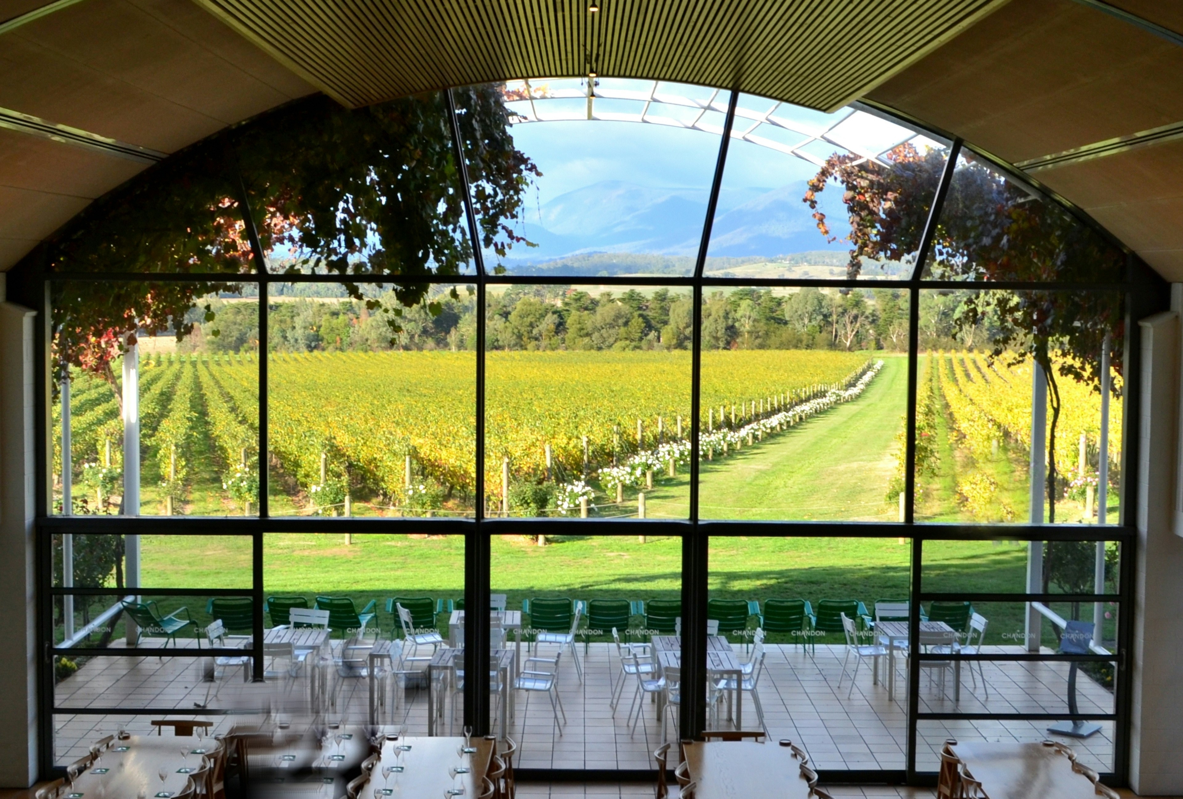 Interno moderno di ristorante con grandi finestre che si affacciano su un bellissimo vigneto