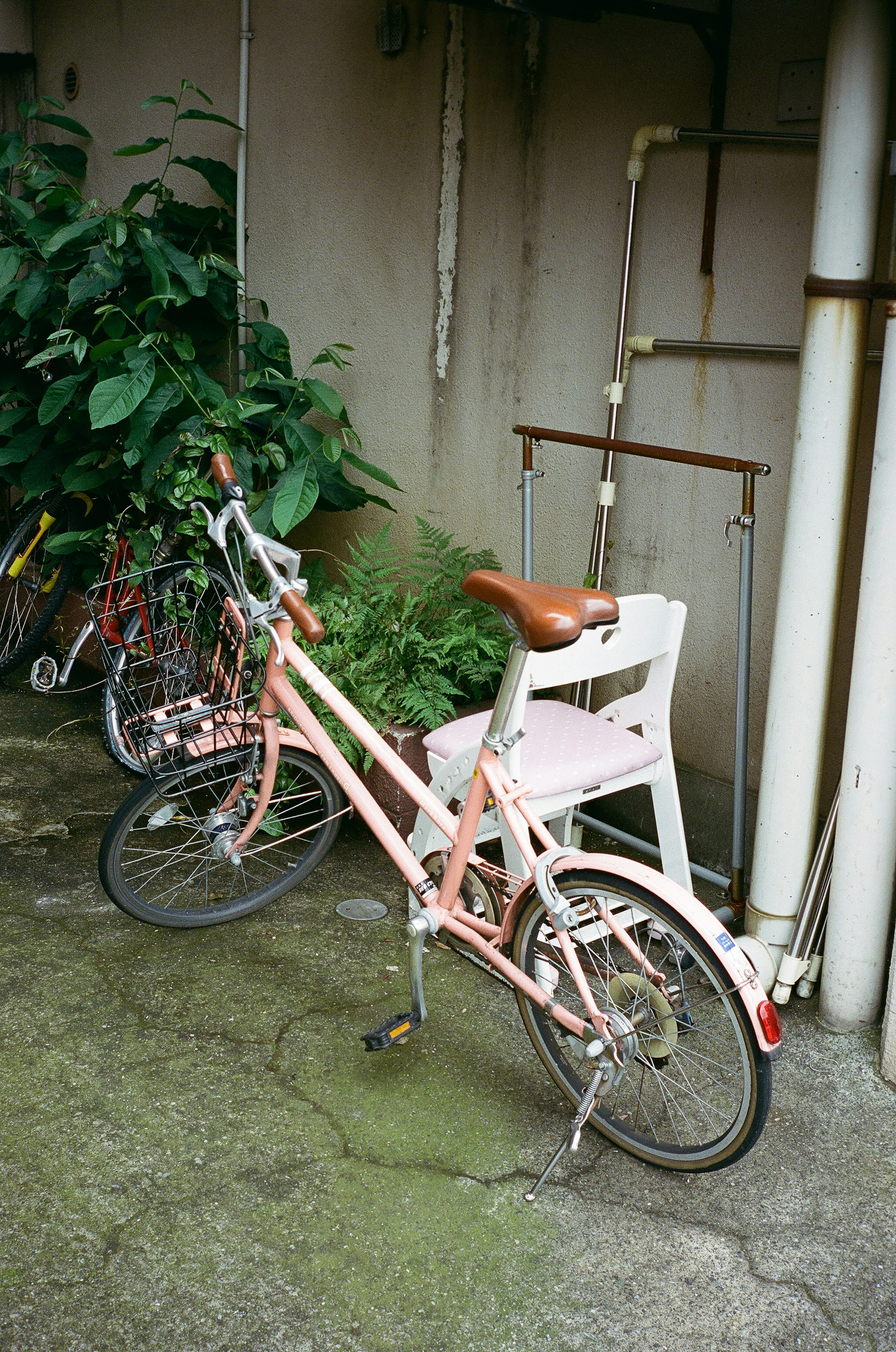 ピンクの自転車が緑の植物の近くに置かれている