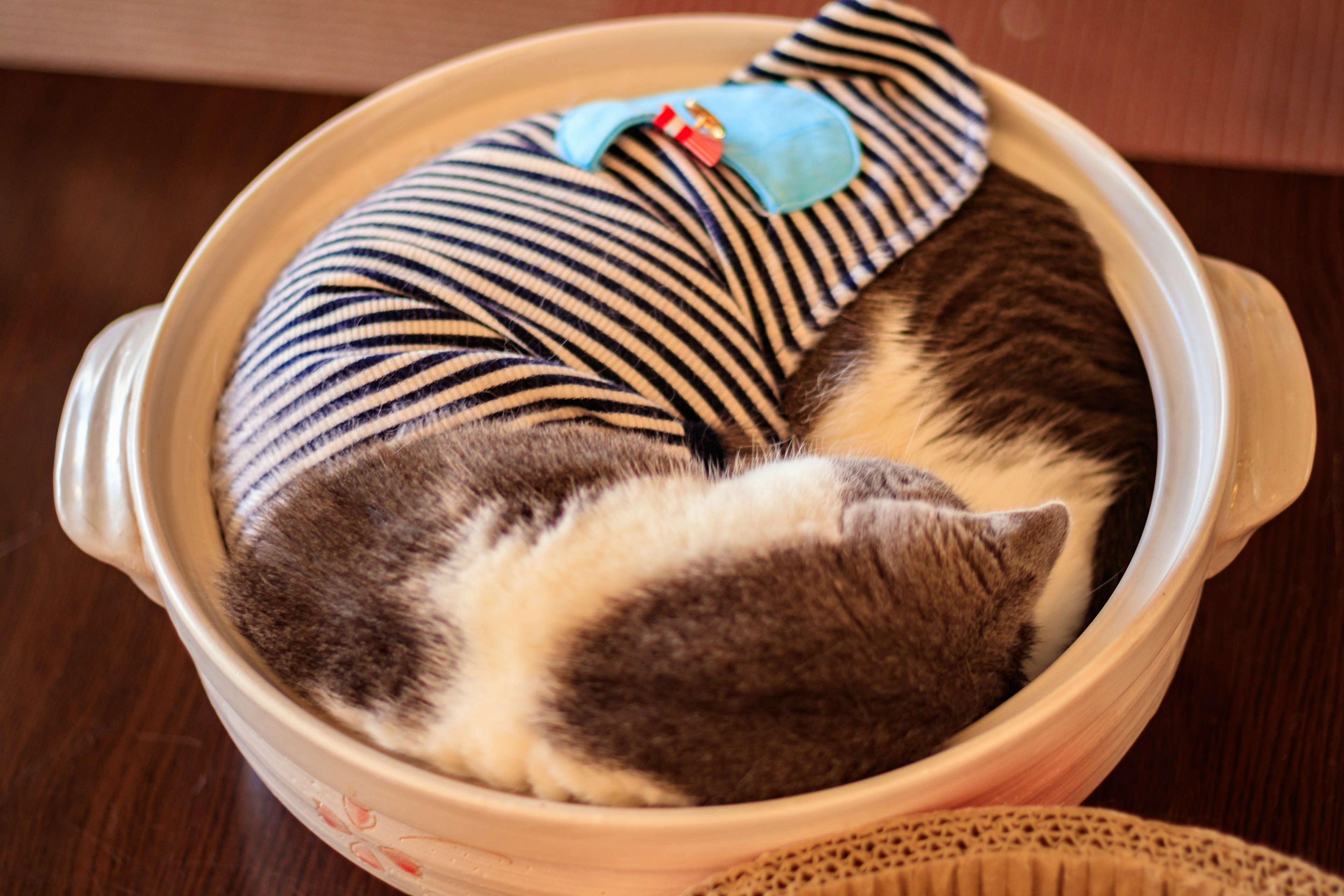 Un gato con un atuendo a rayas enrollado durmiendo en un plato de cerámica