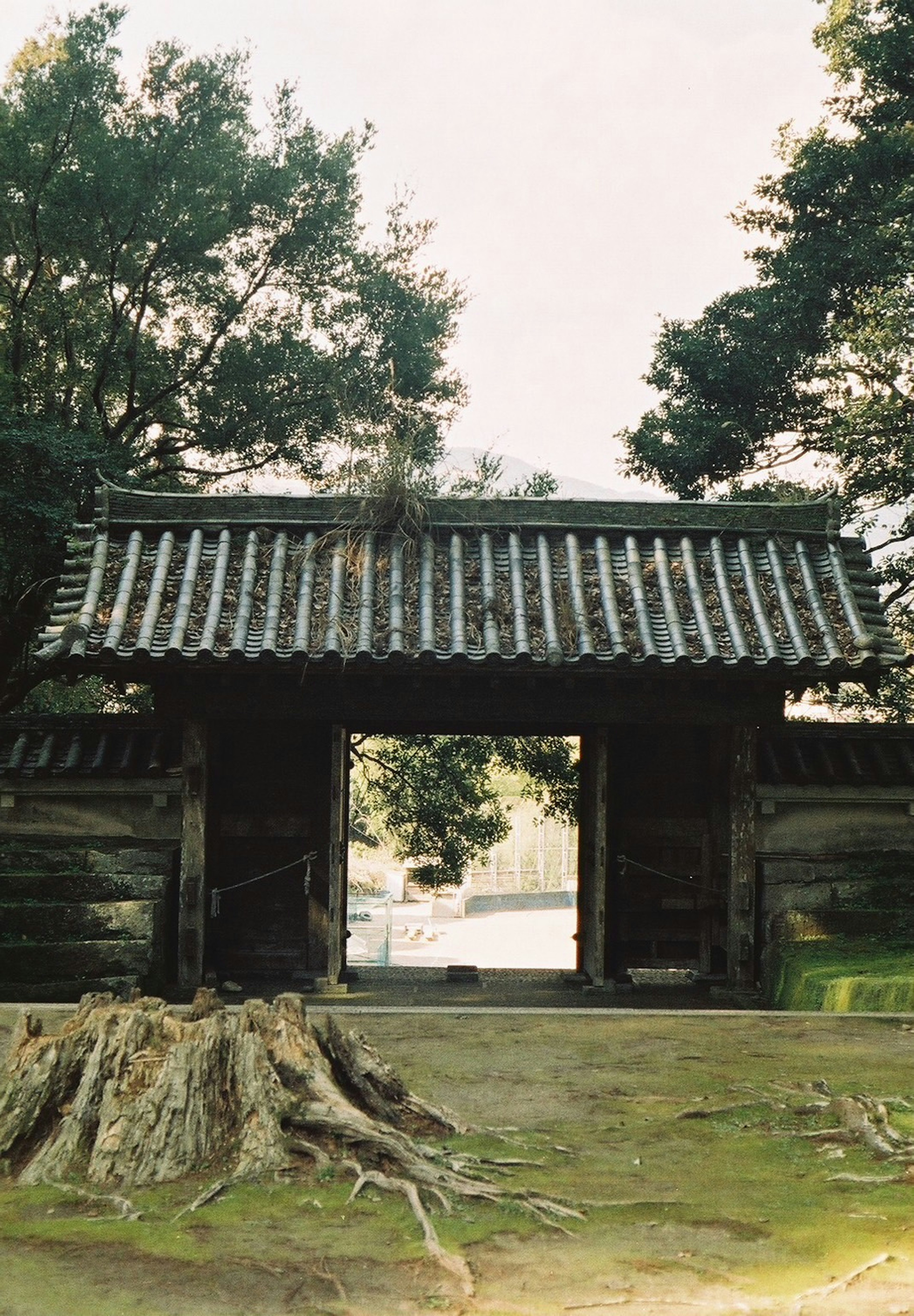 Ancienne porte en bois avec un paysage verdoyant