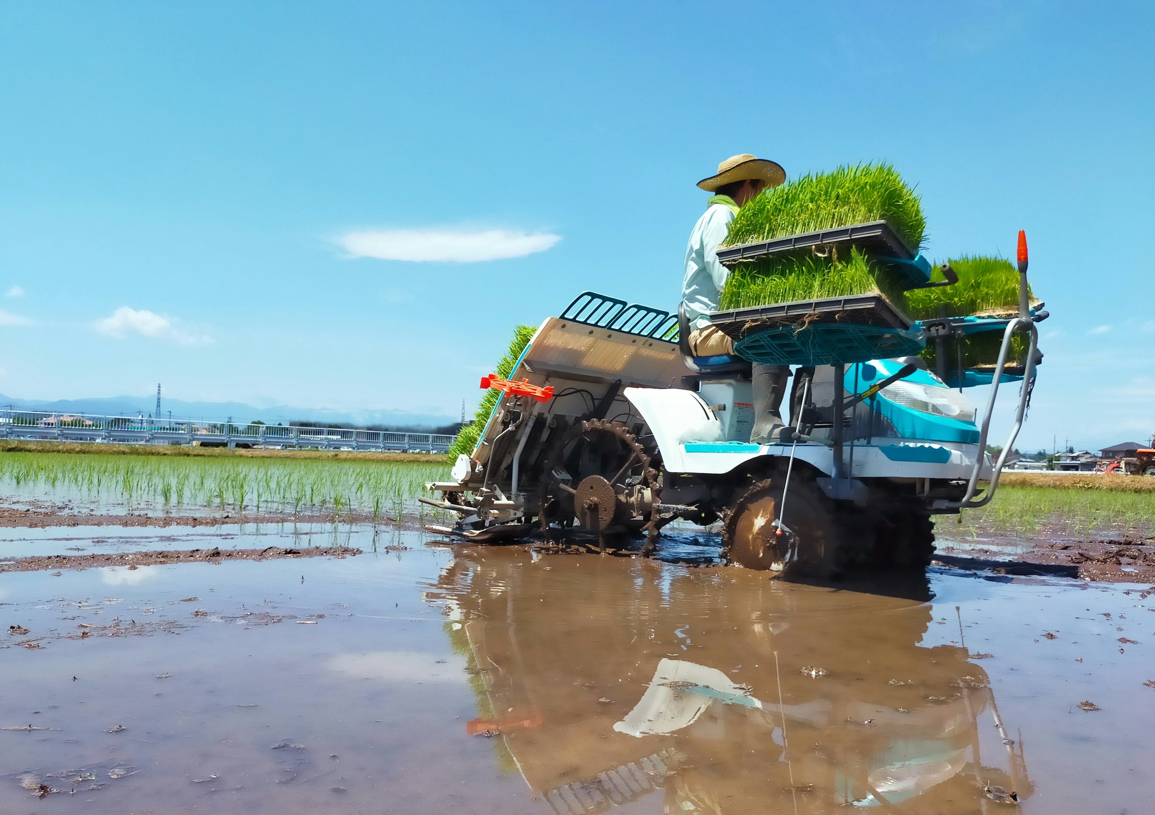 田んぼで稲を植える農業機械と作業者の風景