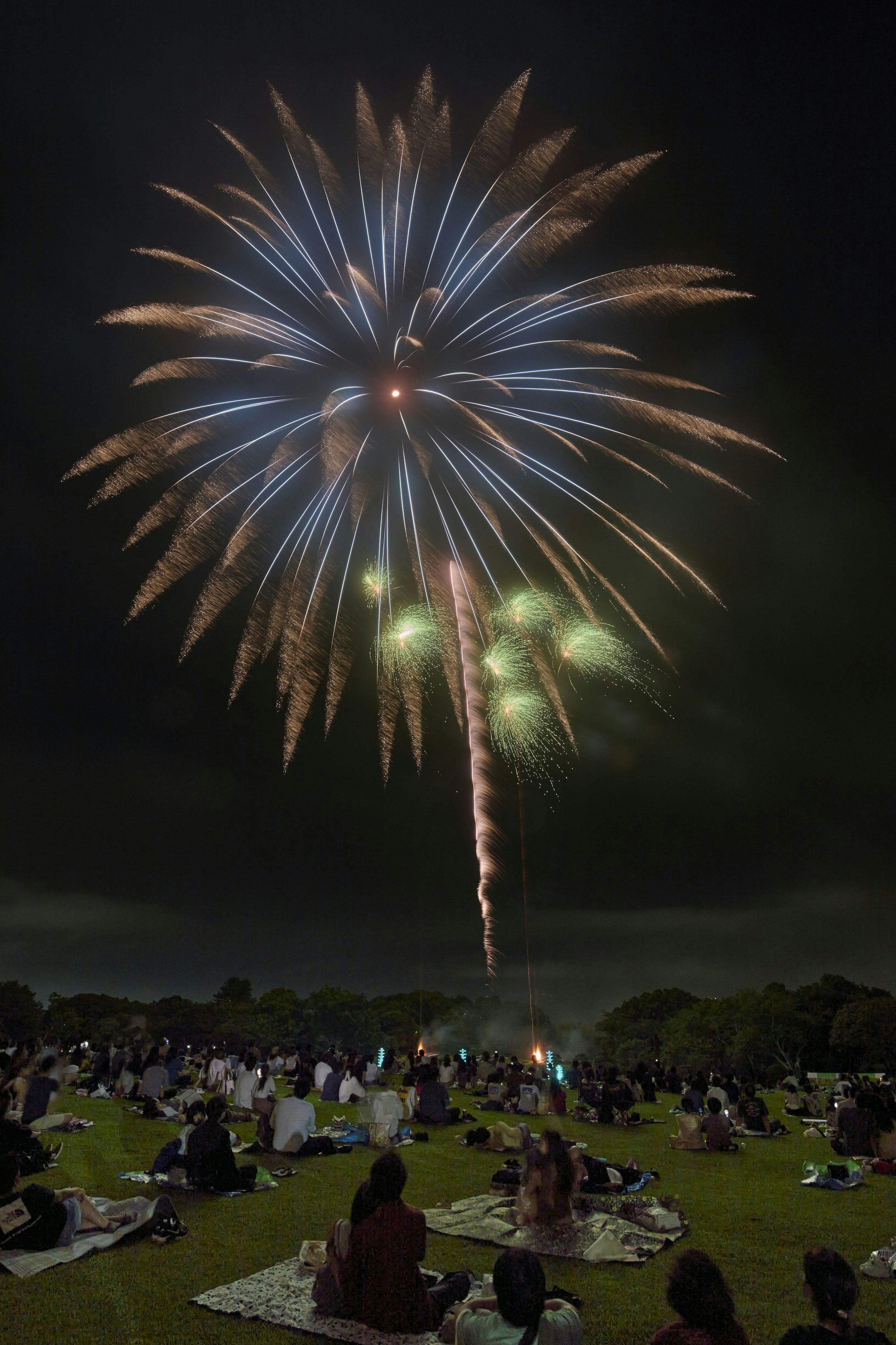 Fuochi d'artificio che illuminano il cielo notturno con una folla riunita sull'erba