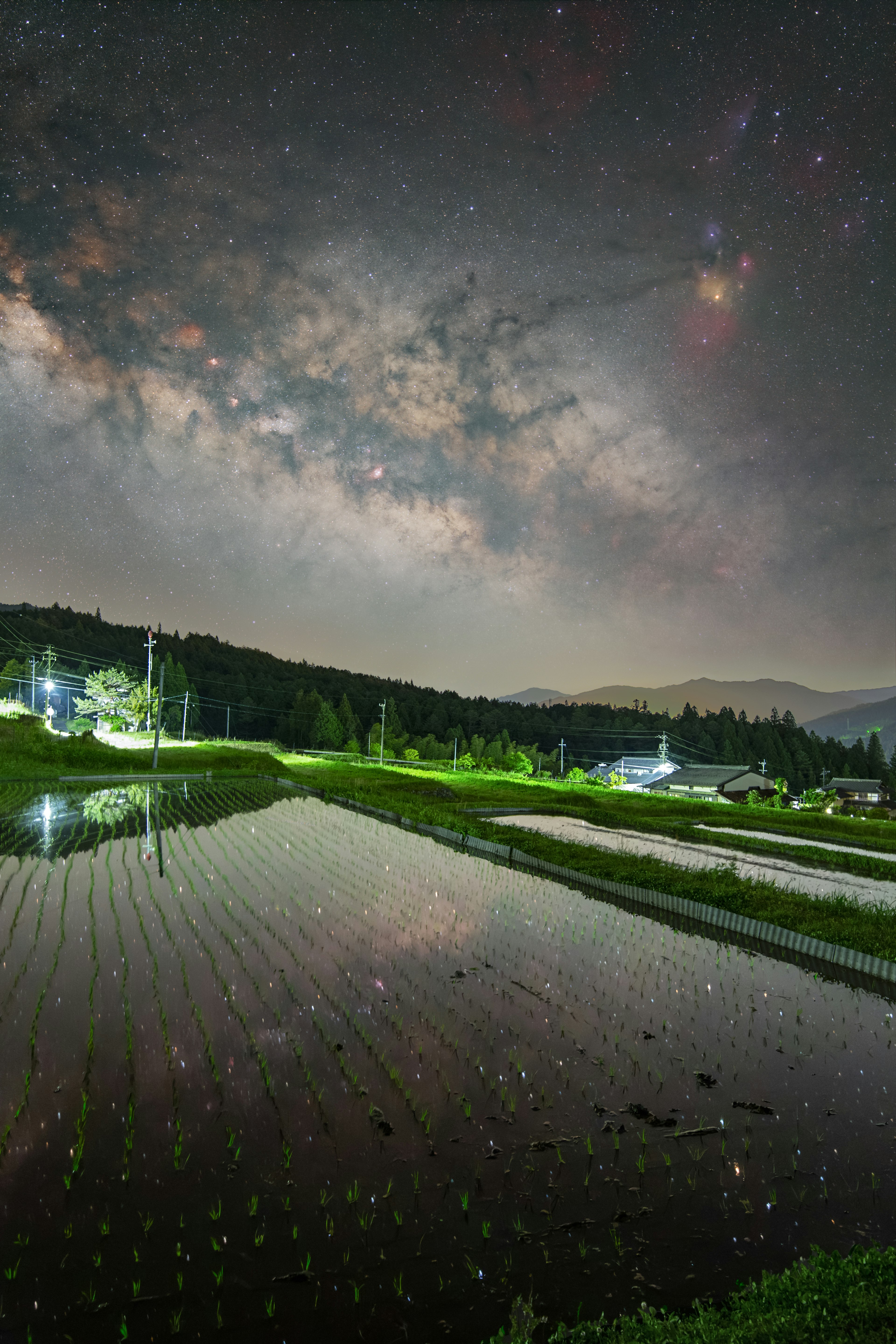 Paisaje rural con campos de arroz bajo un cielo estrellado