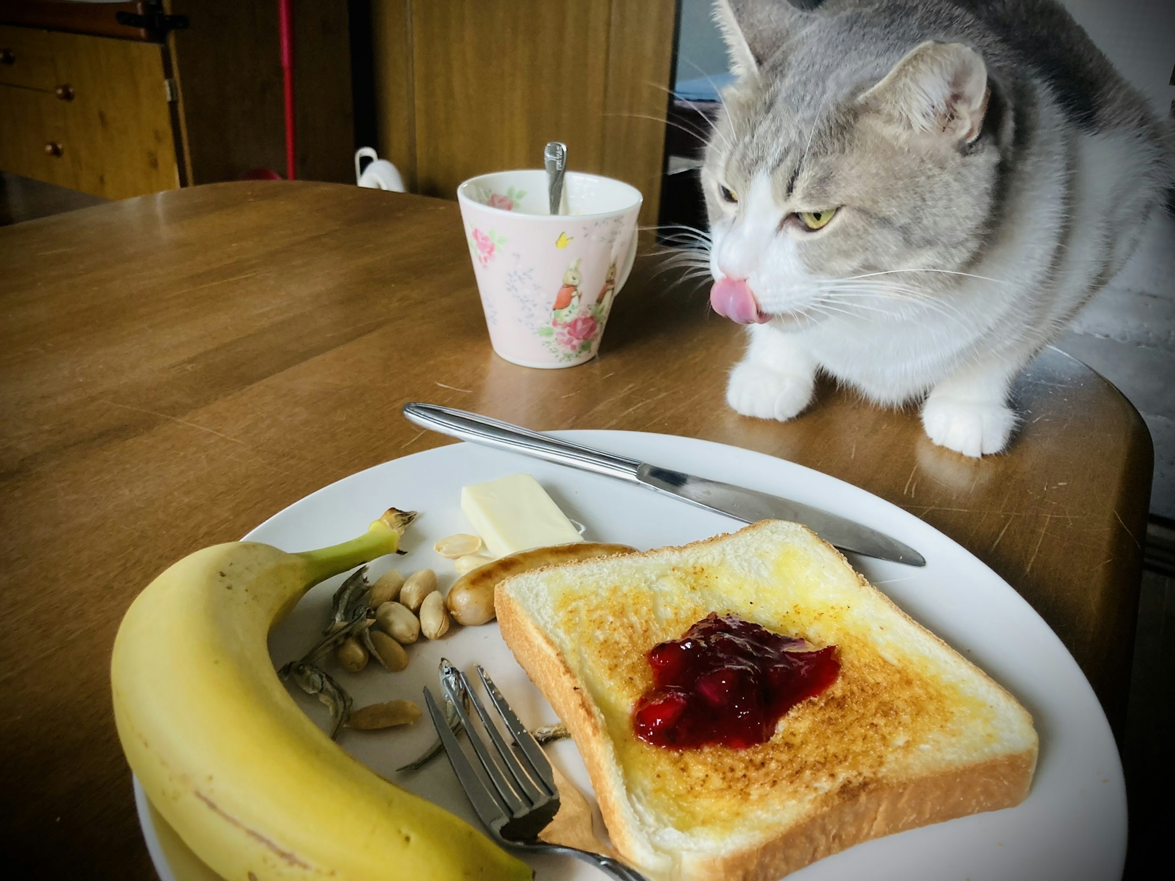 Breakfast on a table featuring toast with jam a banana and a curious cat