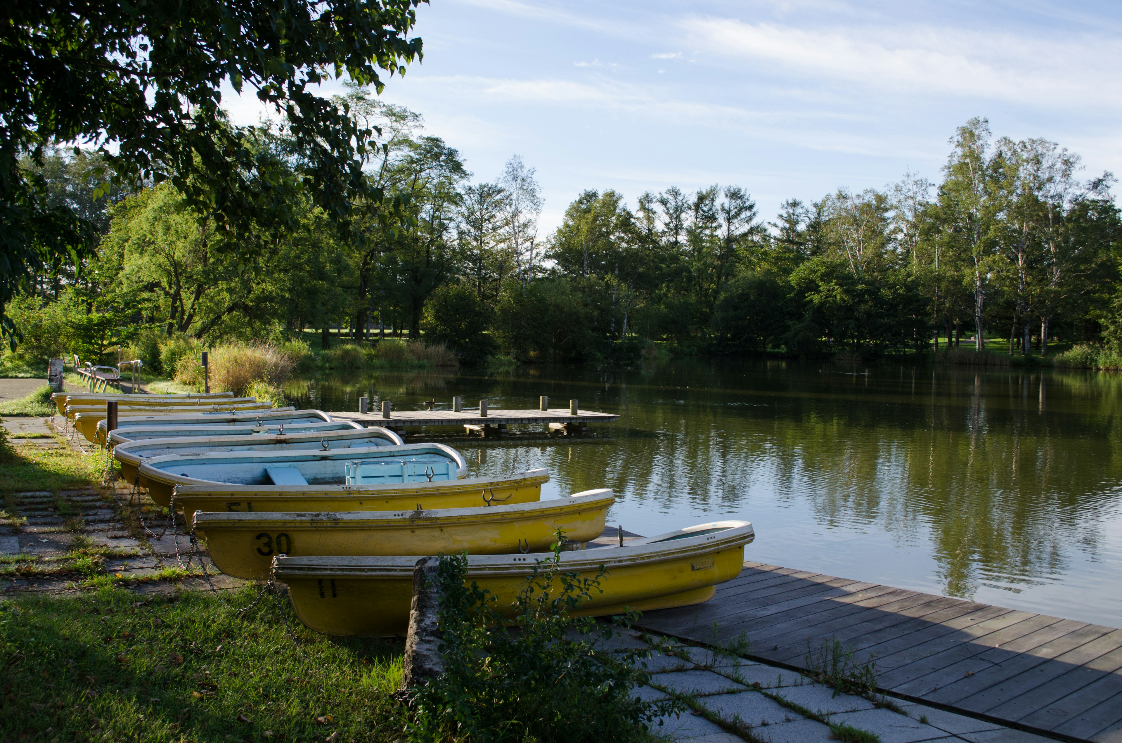 Botes amarillos alineados junto a un lago sereno rodeado de árboles verdes