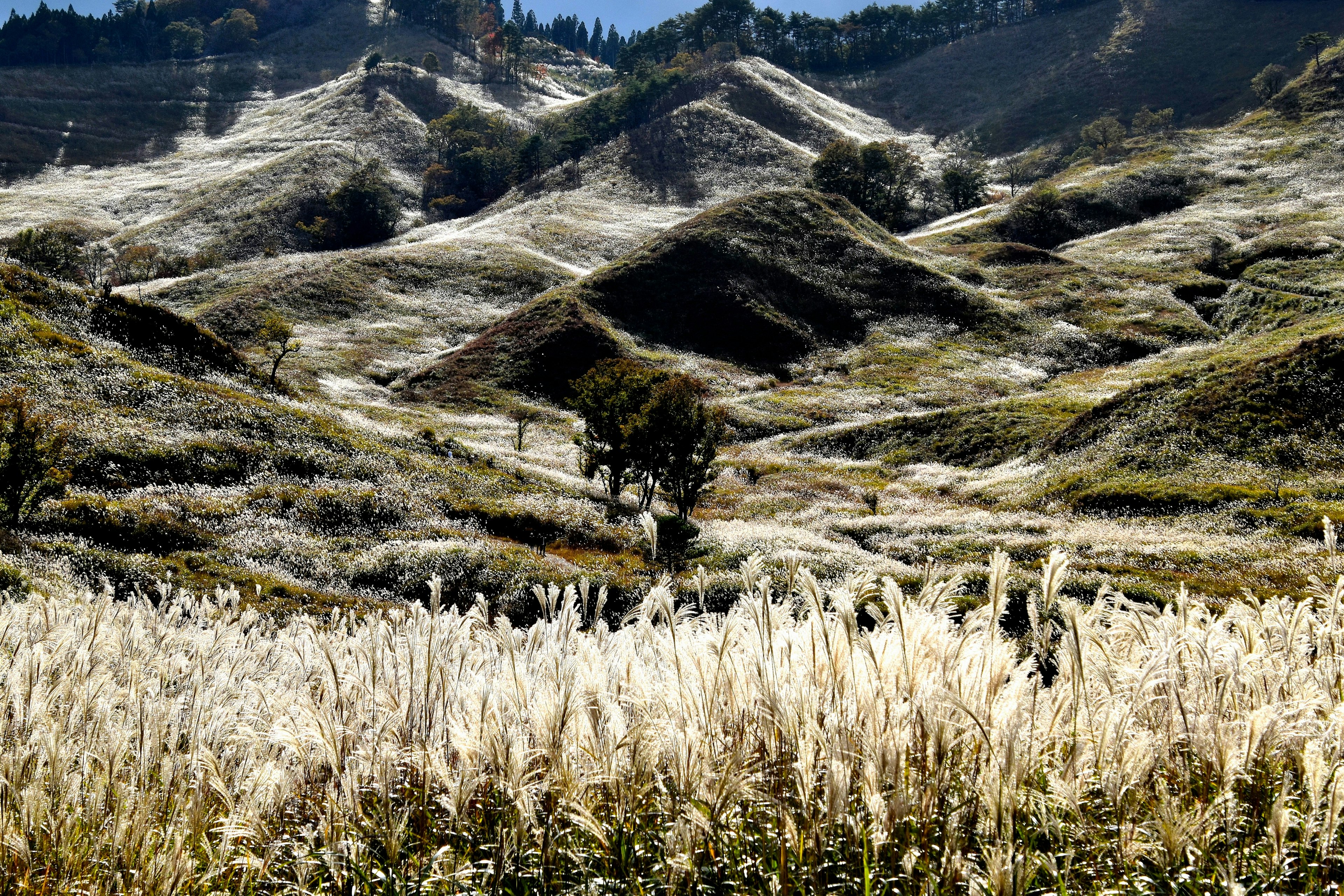 Beau paysage montagneux avec des plaines herbeuses