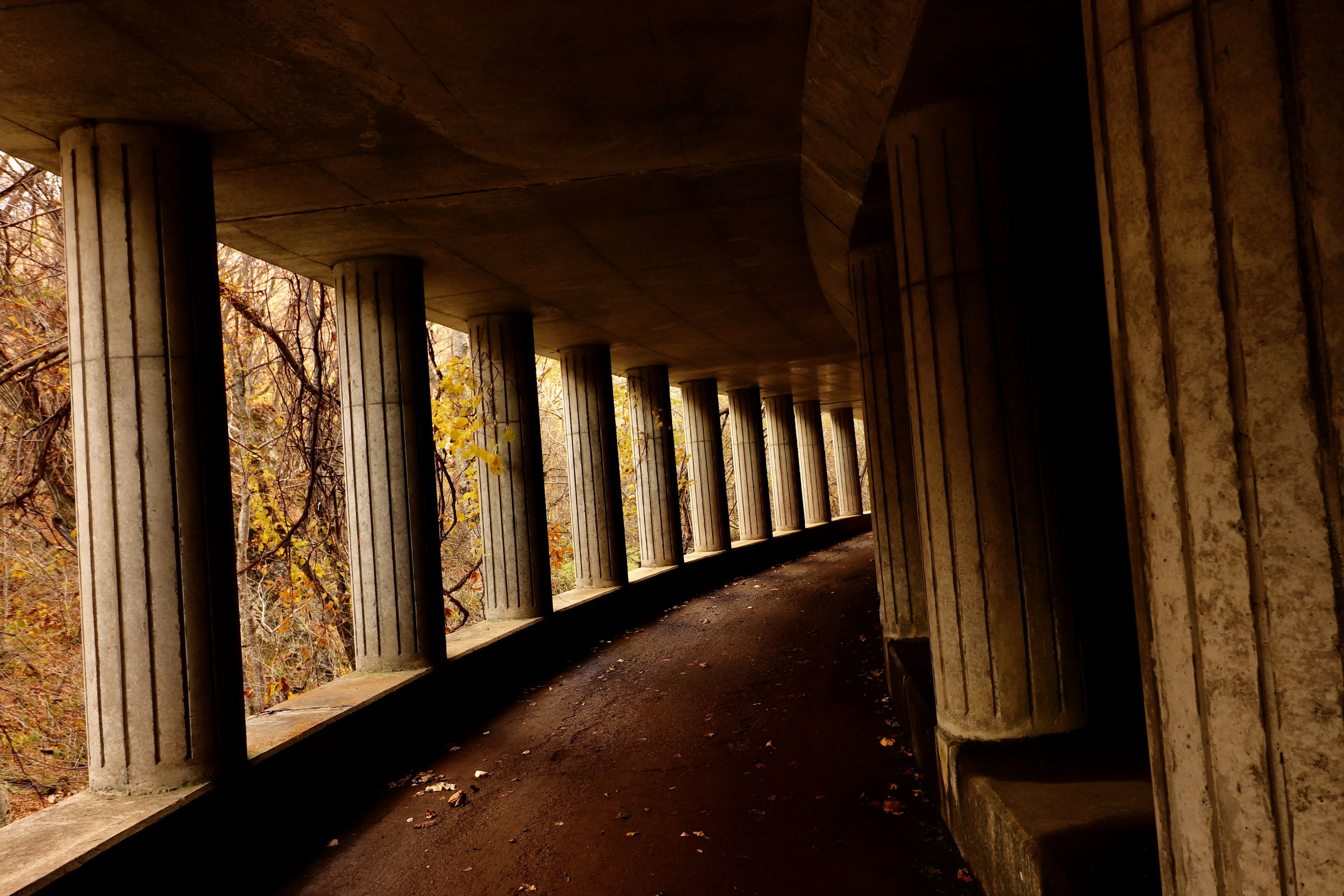 Imagen de un pasillo sinuoso con columnas de concreto y hojas de otoño esparcidas