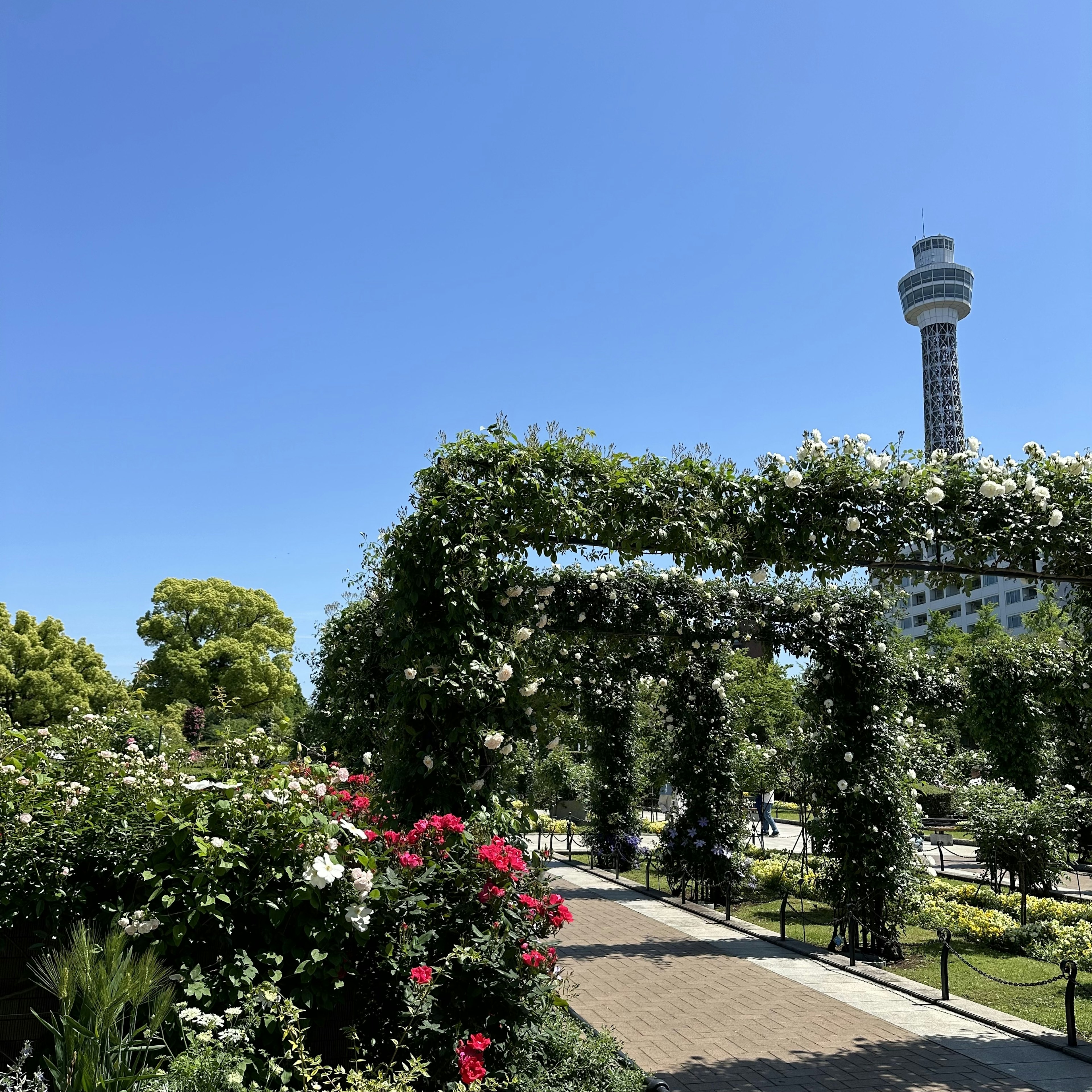 Park scene with blooming flowers under a clear blue sky and a tall tower