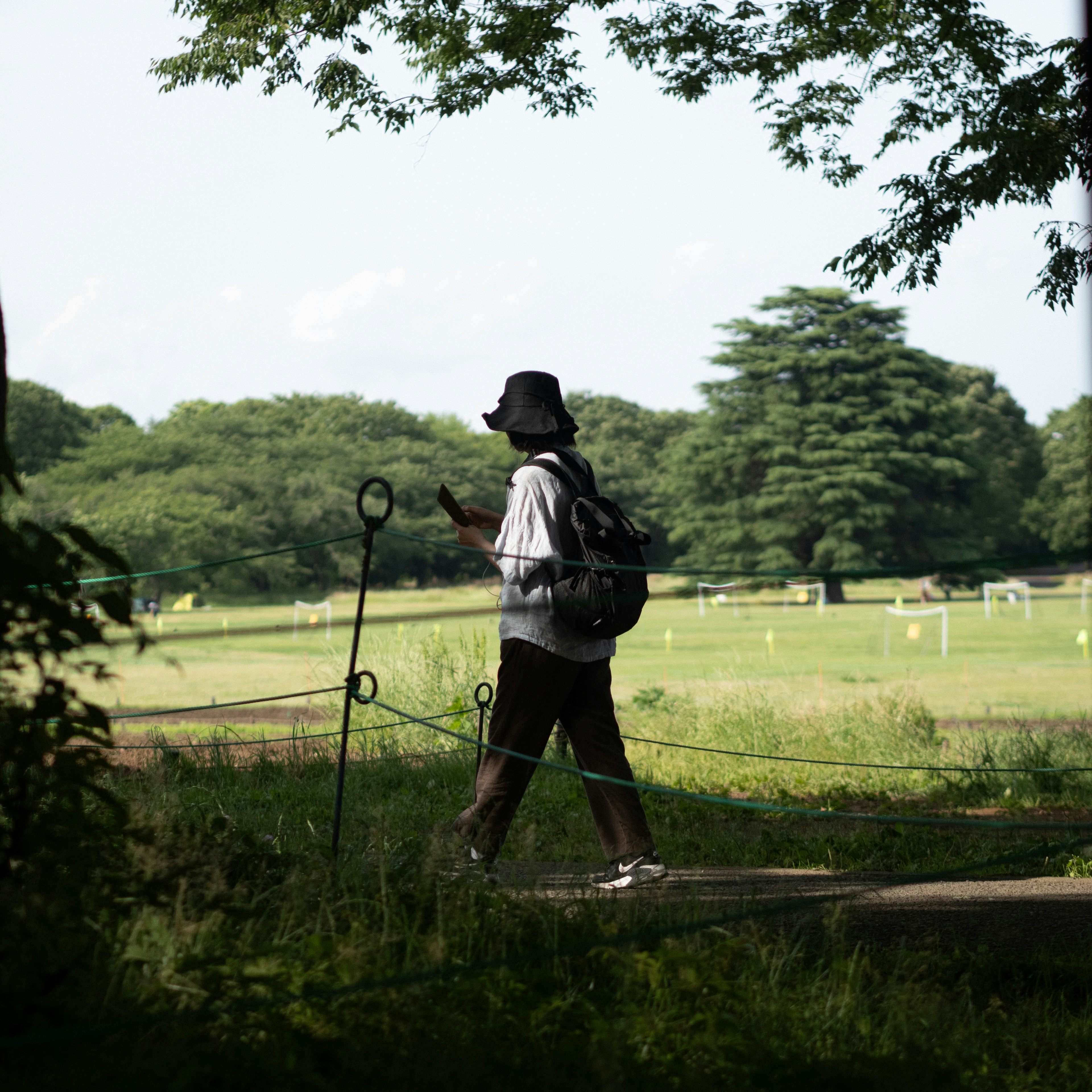 Silhouette di un uomo che cammina in un parco circondato da alberi verdi e prati aperti