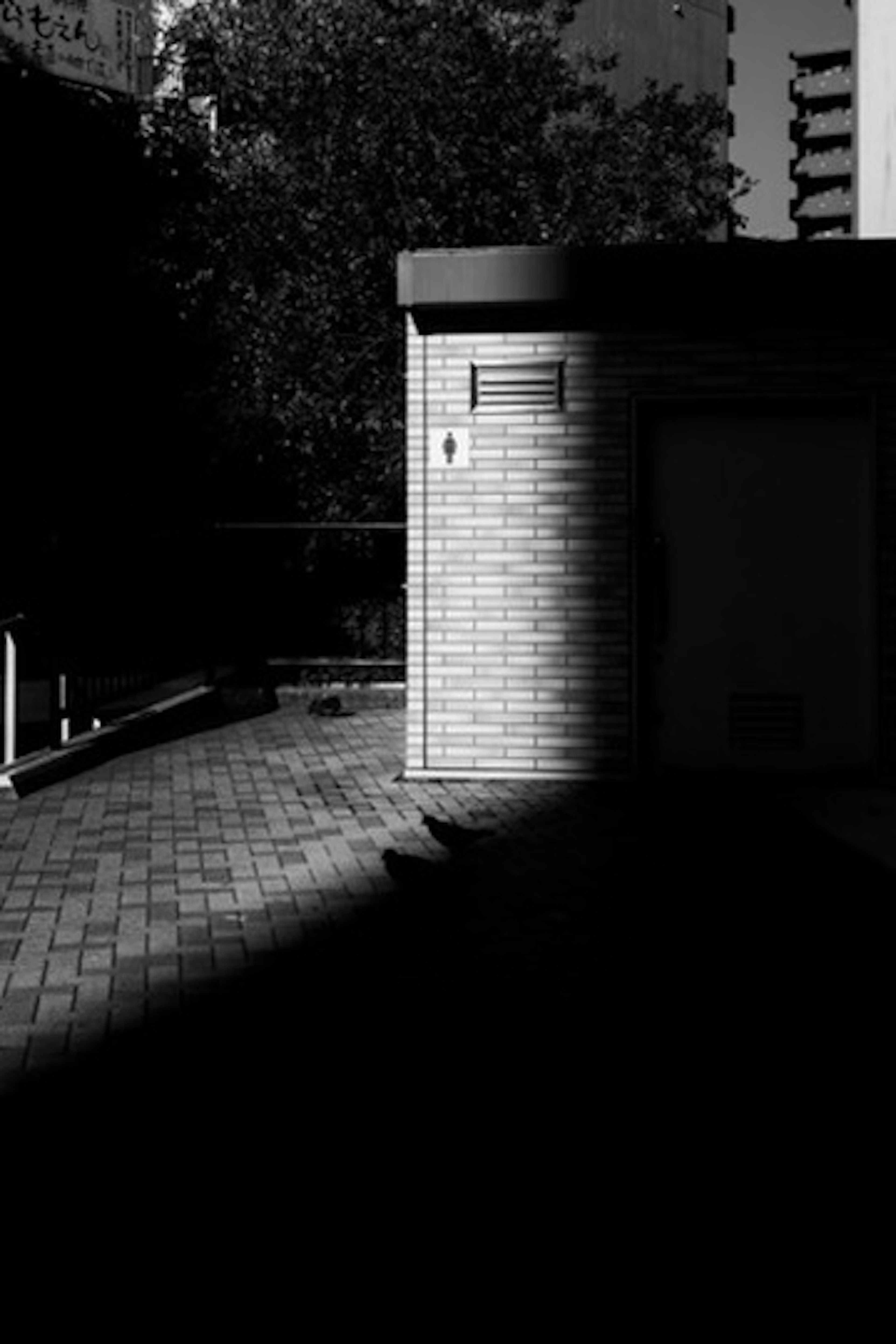 Image en noir et blanc mettant en valeur un coin de bâtiment avec un fort contraste d'ombre