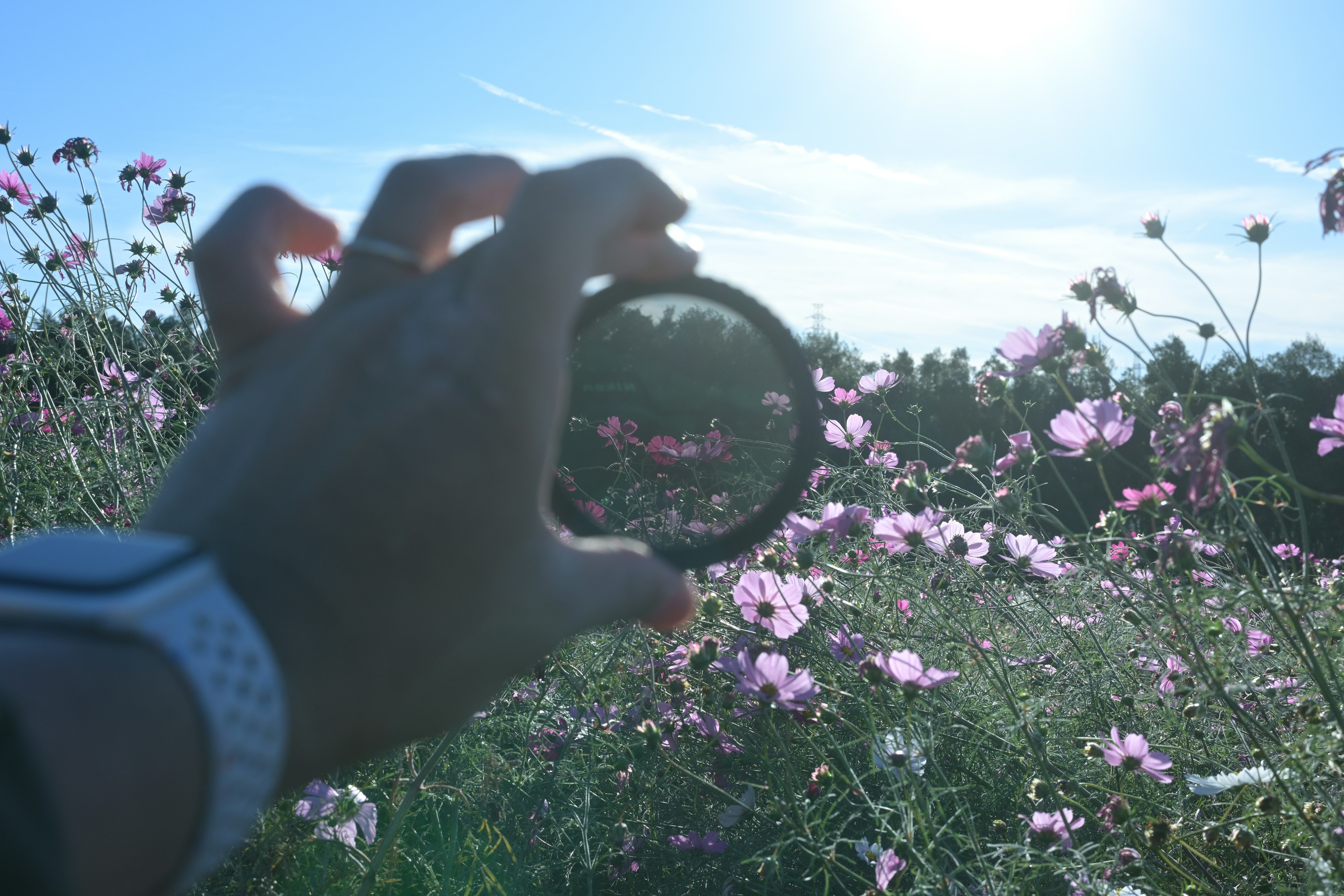 A hand holding a black ring in front of a flower field