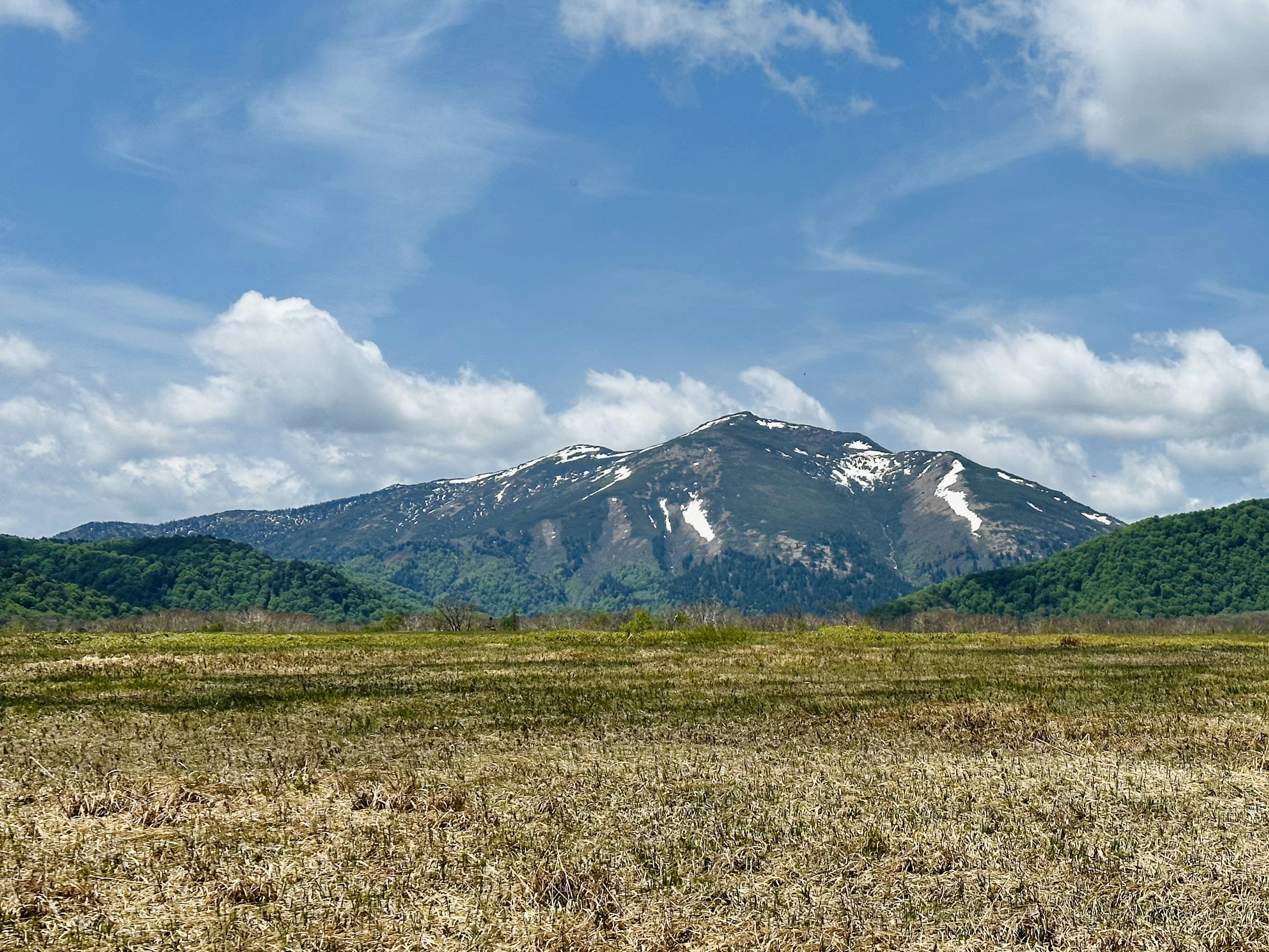 山と青空の美しい風景で雪の残る山頂と広がる草原