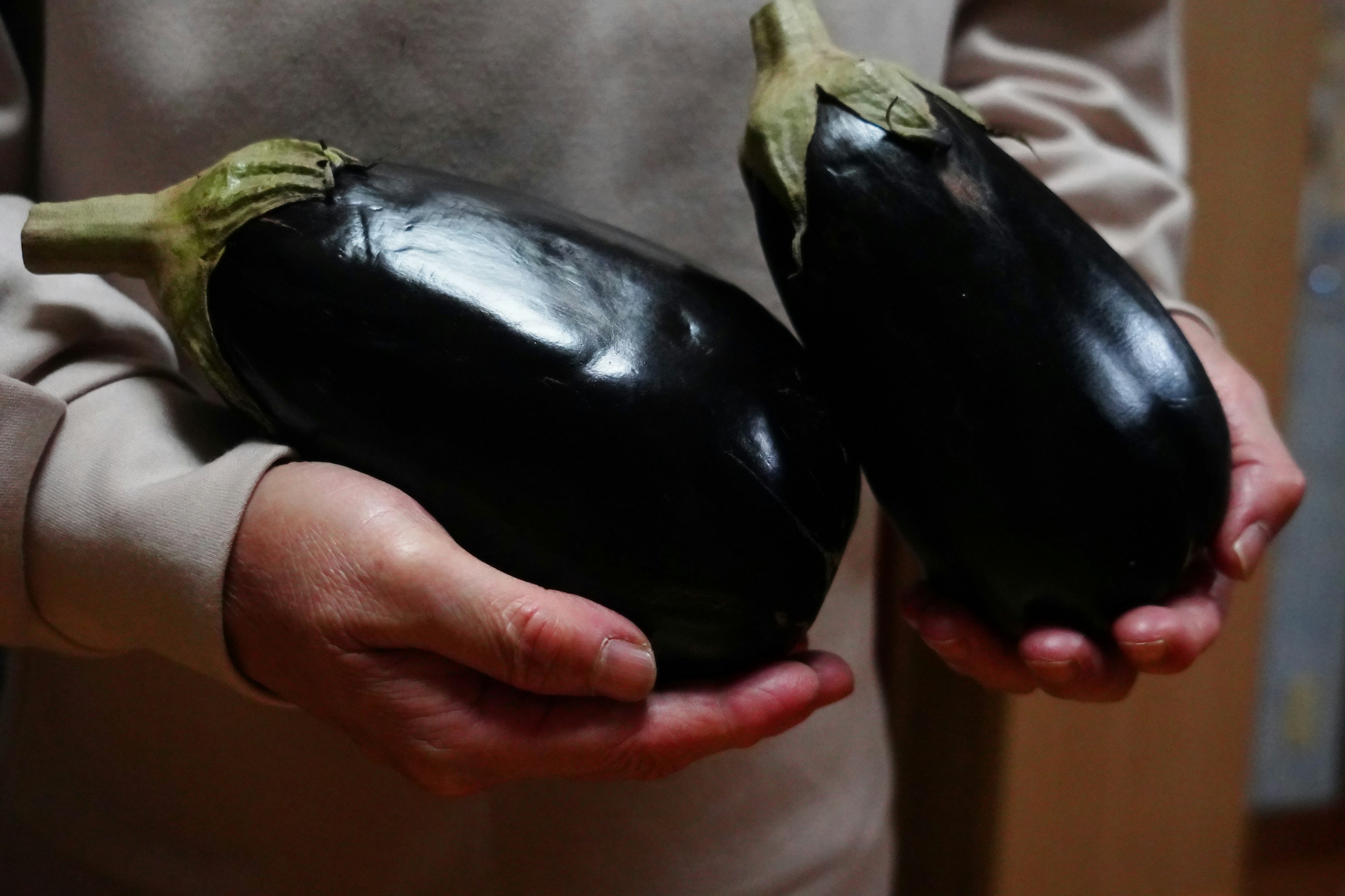 A person holding two large black eggplants