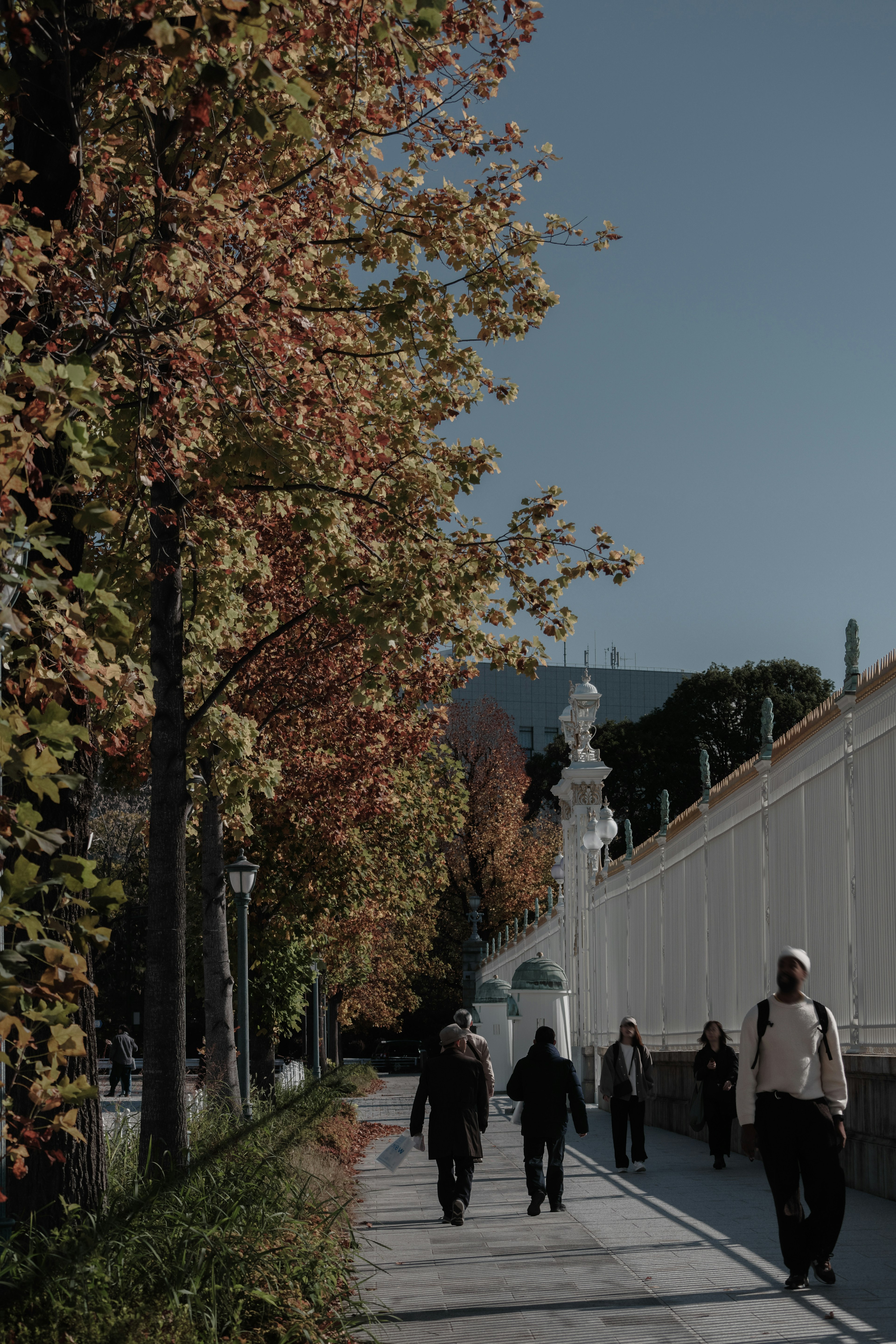 Herbstszene mit Menschen, die einen von Bäumen gesäumten Weg und eine weiße Wand entlanggehen