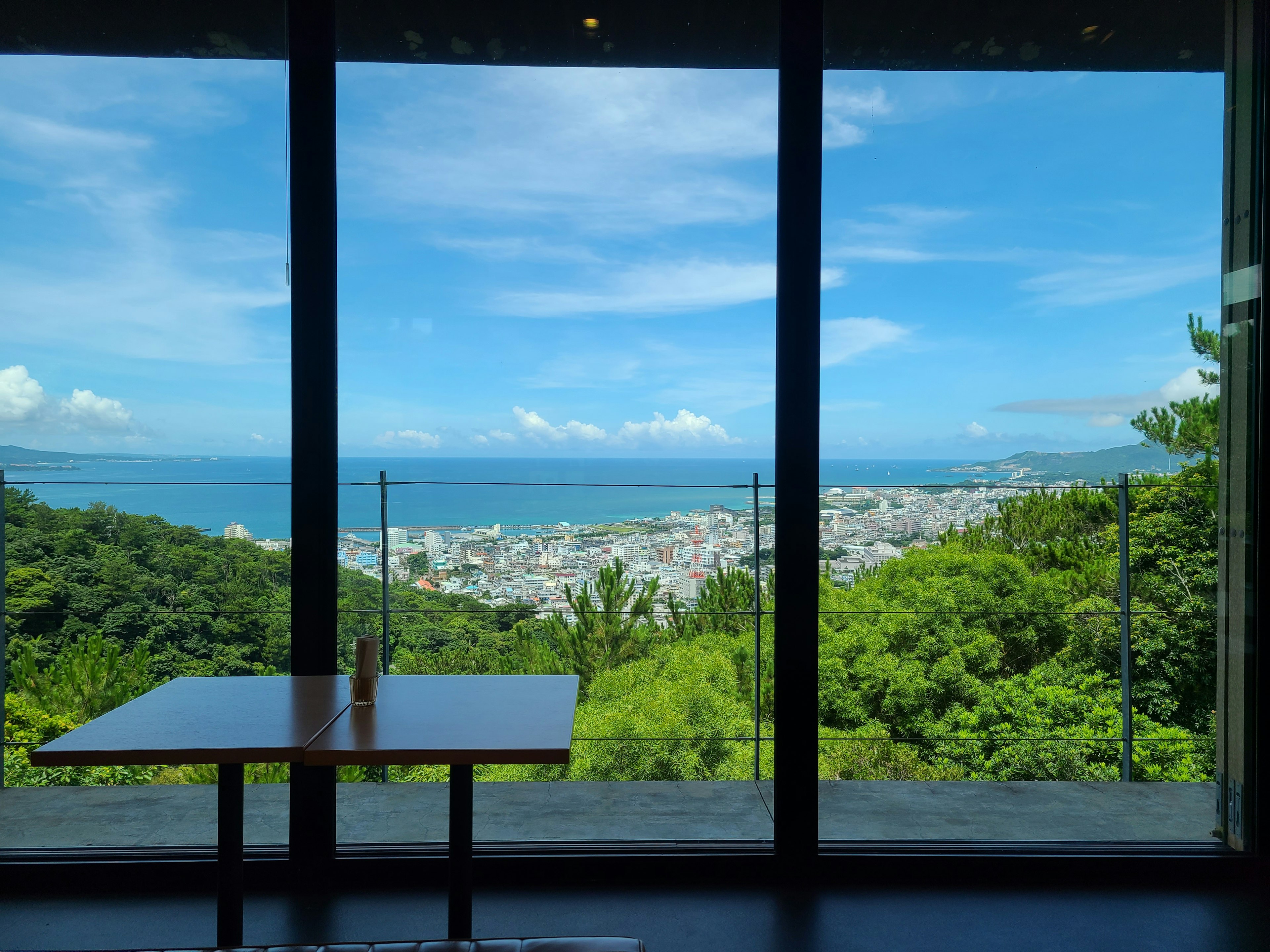 View of lush greenery and ocean through large glass windows