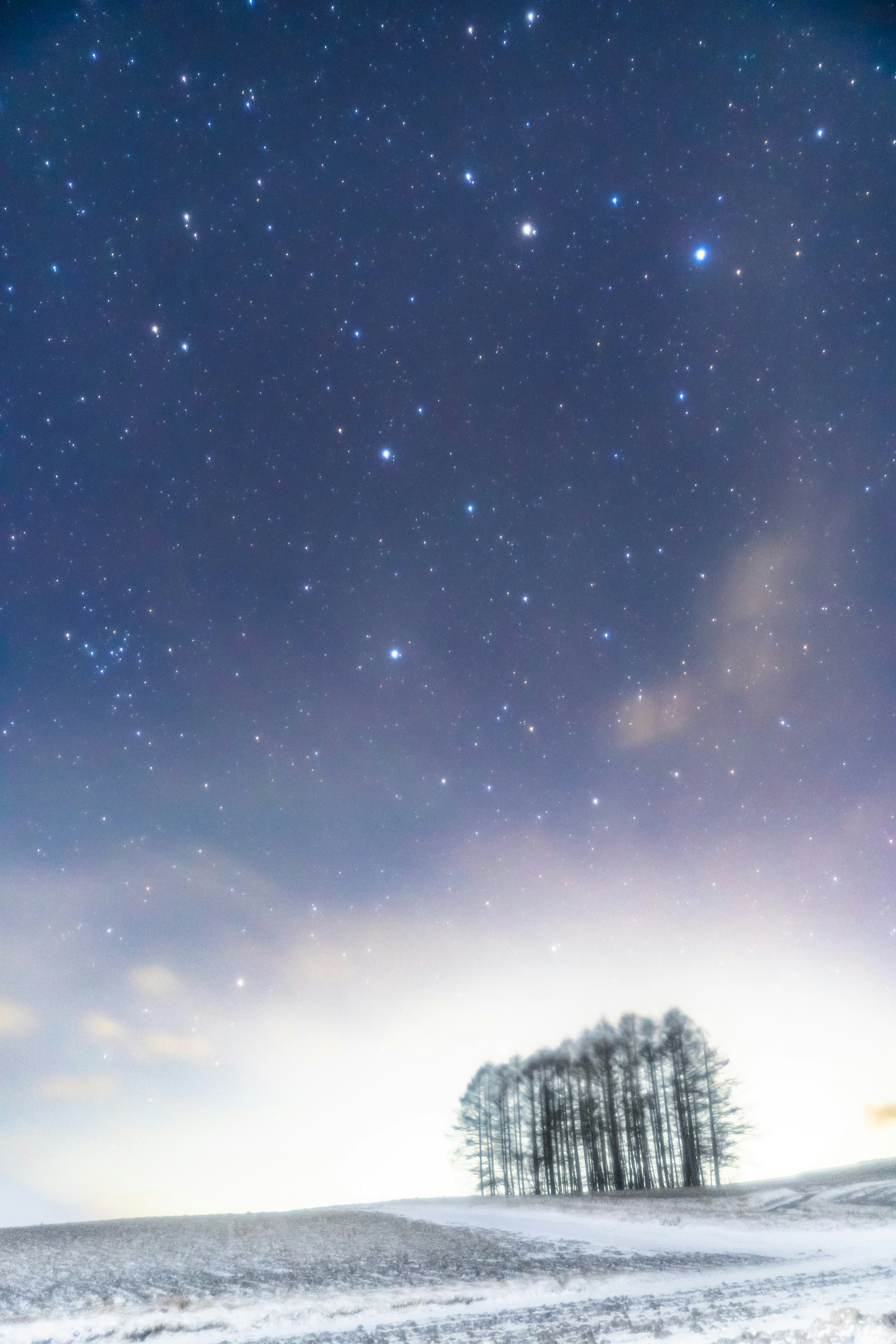 Hermoso contraste de un paisaje nevado y un cielo estrellado