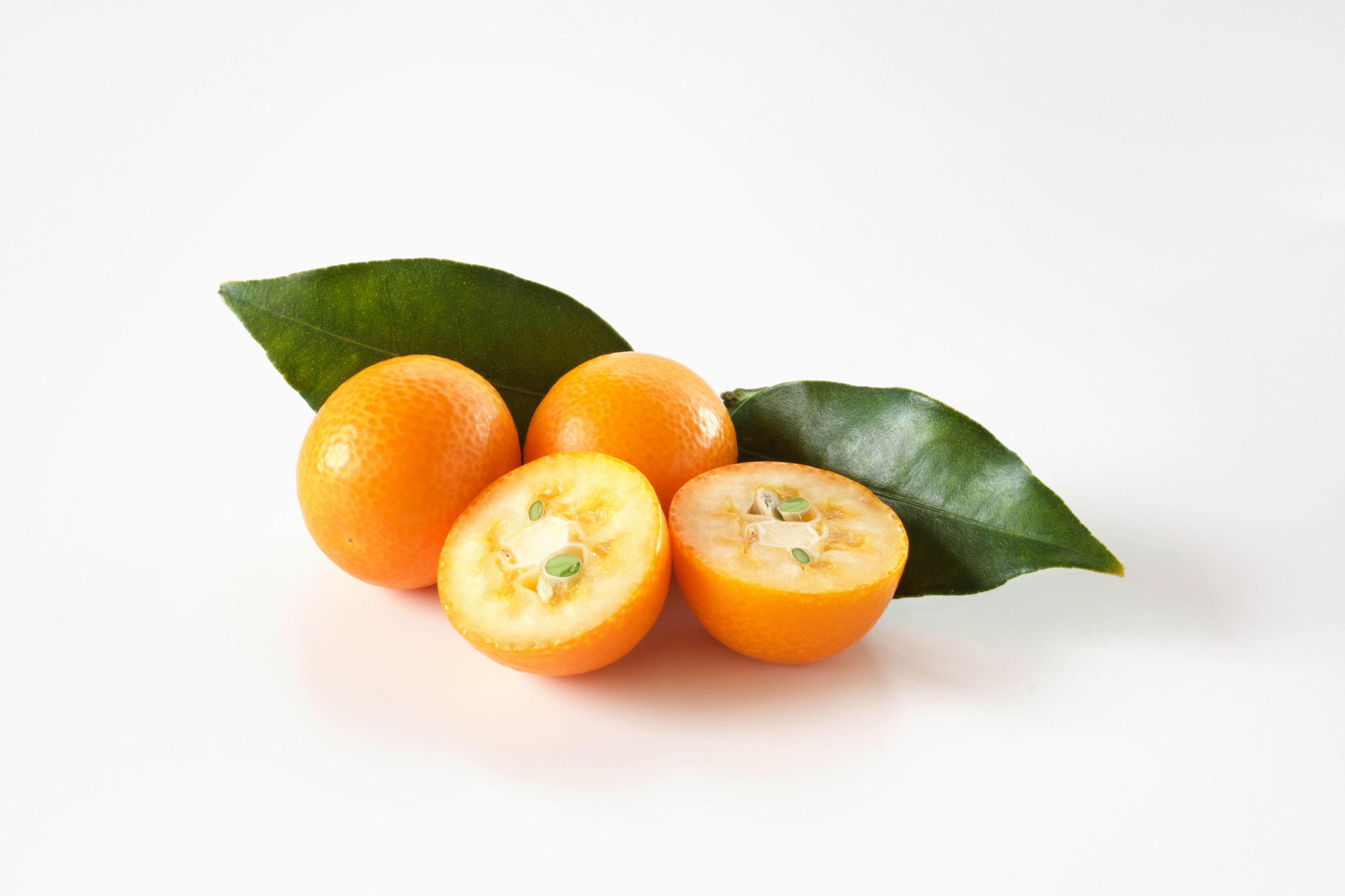 Image featuring orange fruits with green leaves