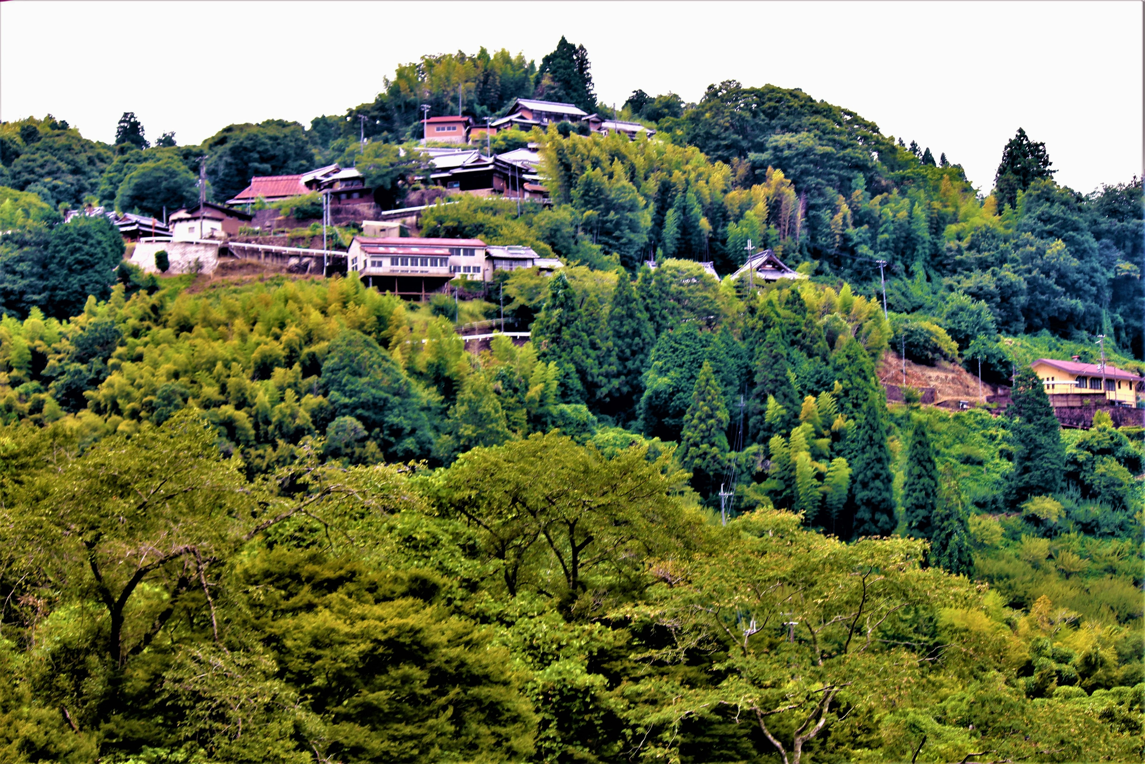 Vue pittoresque d'un petit village niché dans des montagnes verdoyantes