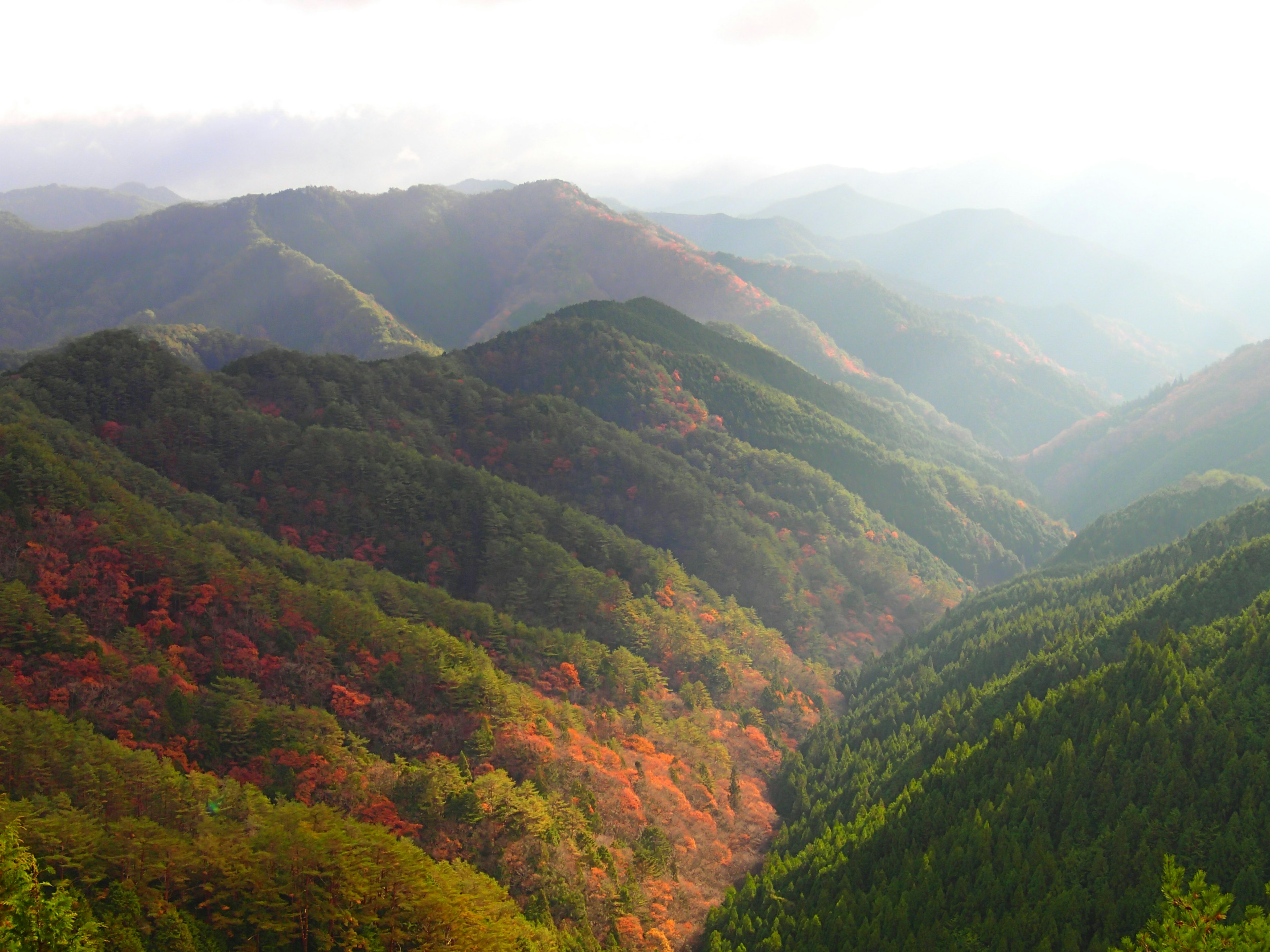 Vista escénica de montañas con follaje de otoño