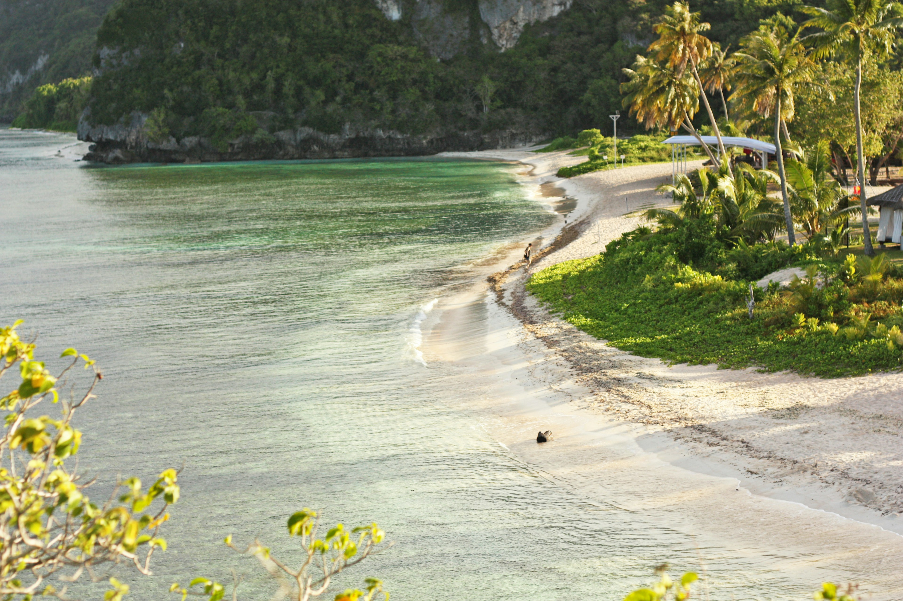 热带海滩景象，蓝色的海水和白色的沙滩