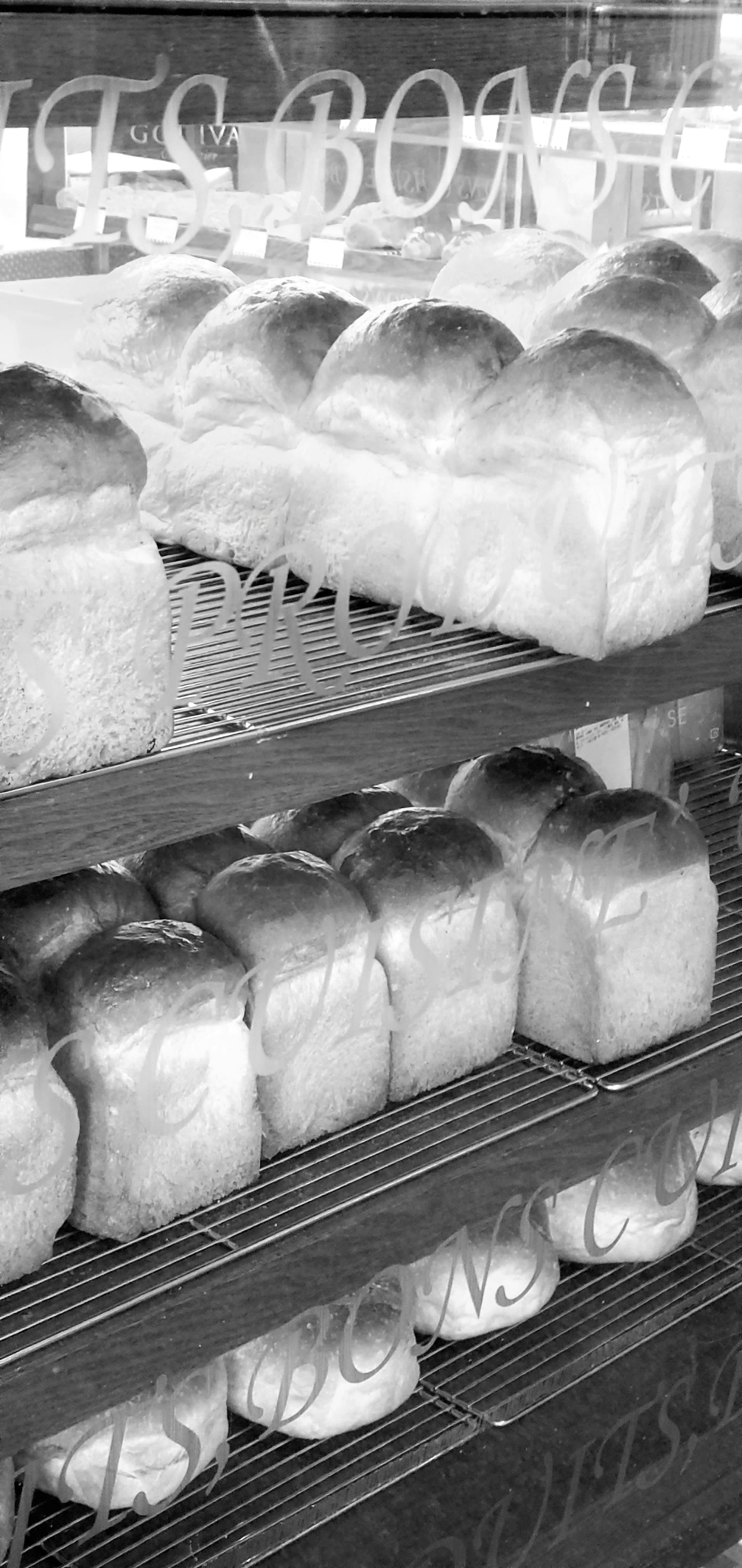 Freshly baked loaves of bread arranged on a bakery shelf