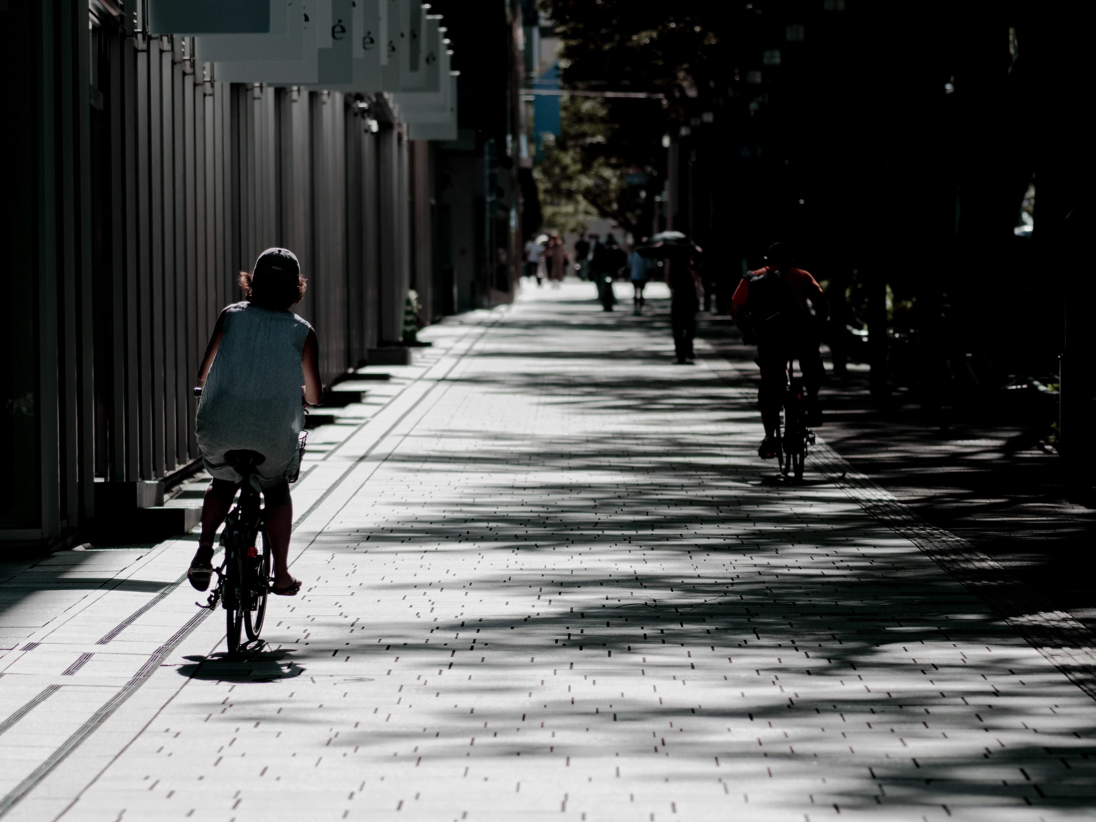 Two cyclists riding on a shadowy bike path