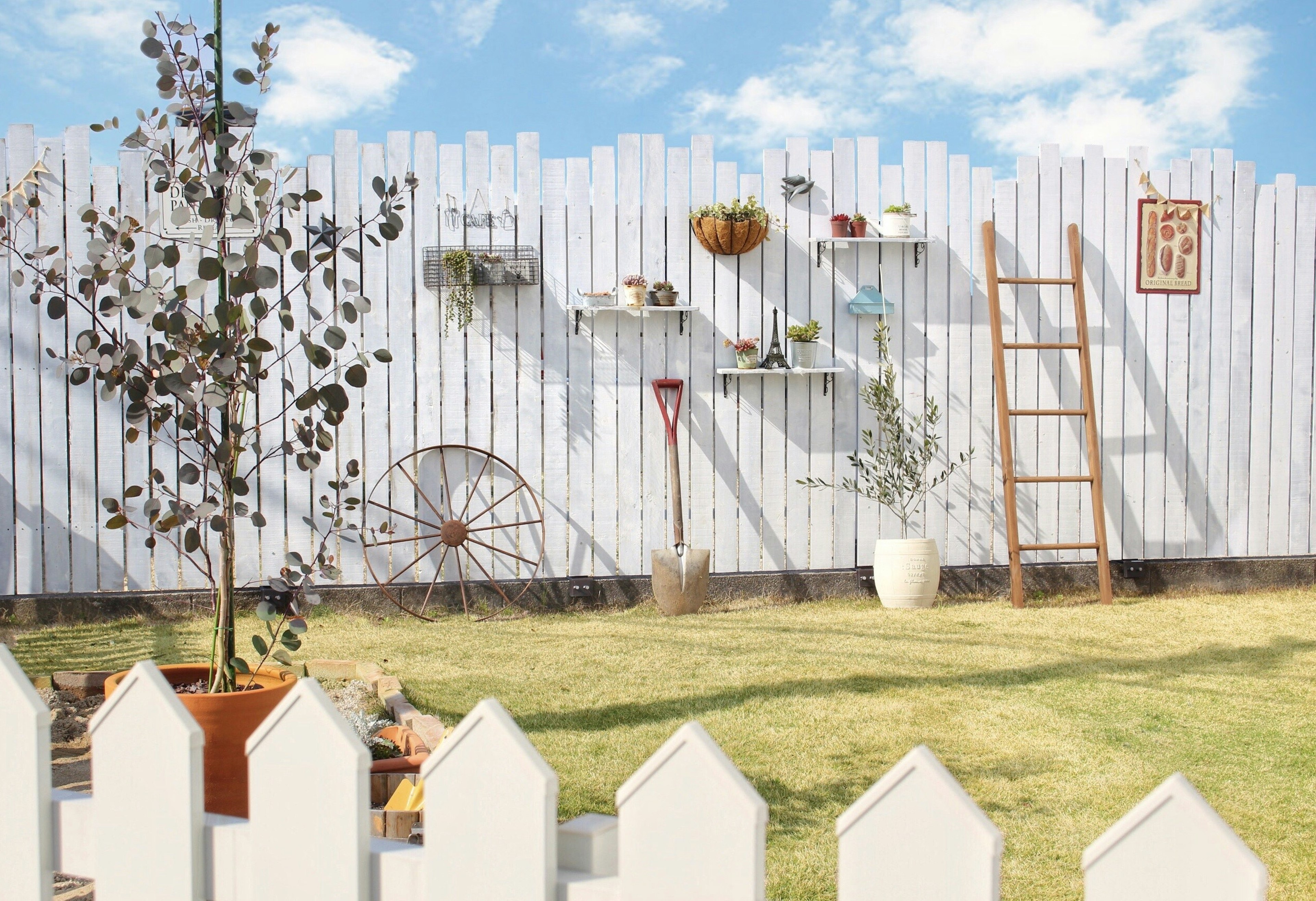 A garden with a white fence featuring plants and shelves against a blue sky