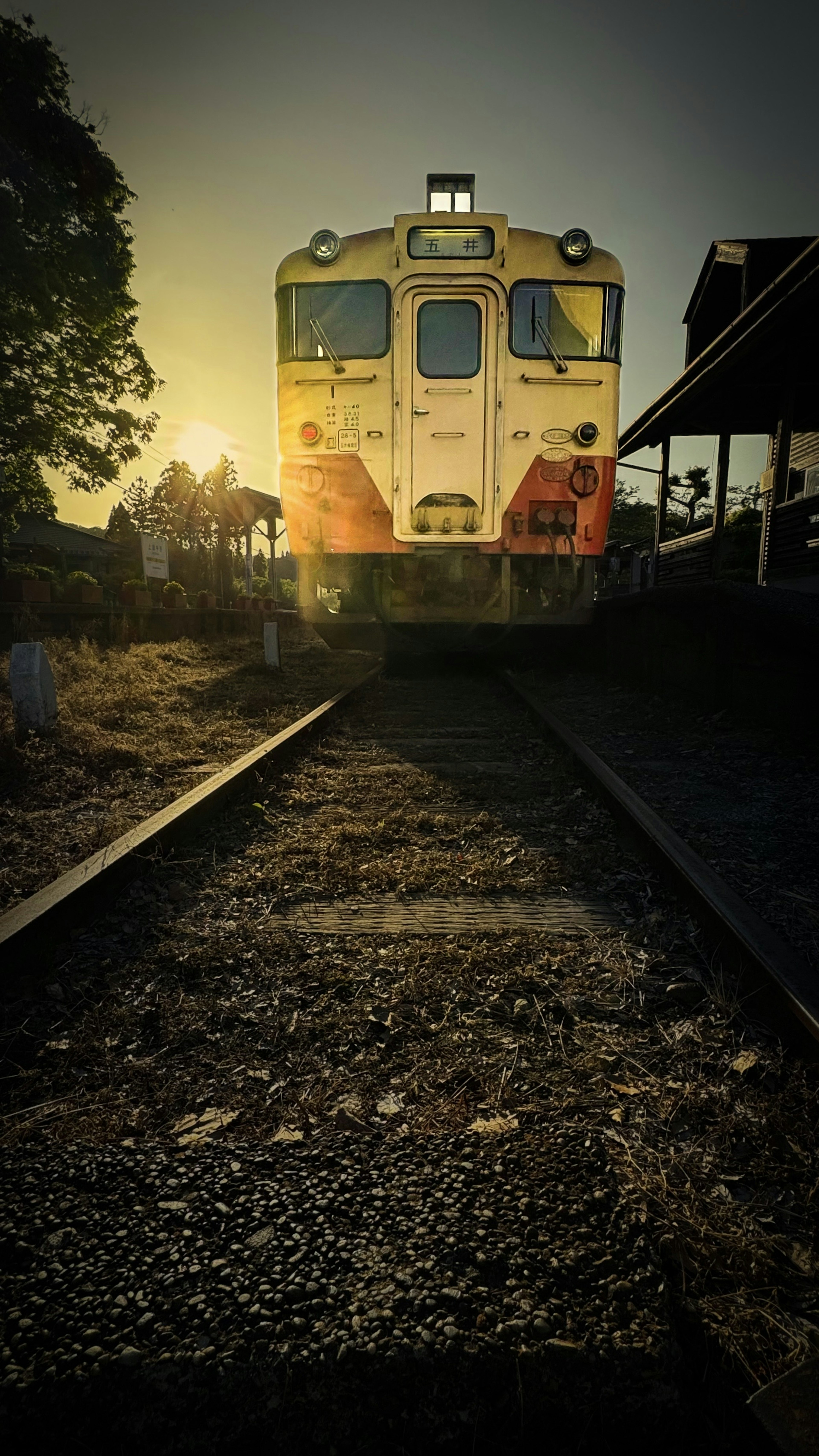 Front view of a train stopped at a station illuminated by sunset