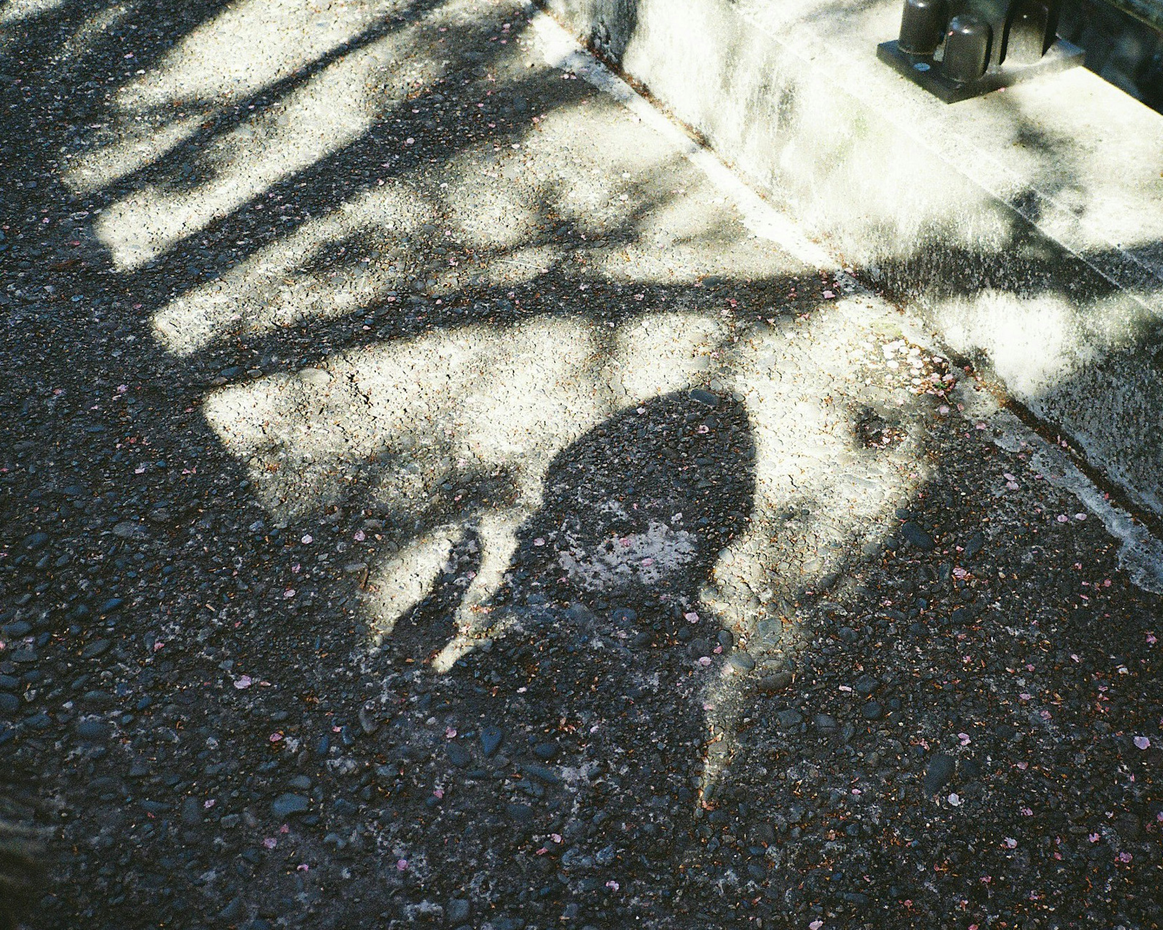 Schatten und Lichtmuster auf dem Gehweg