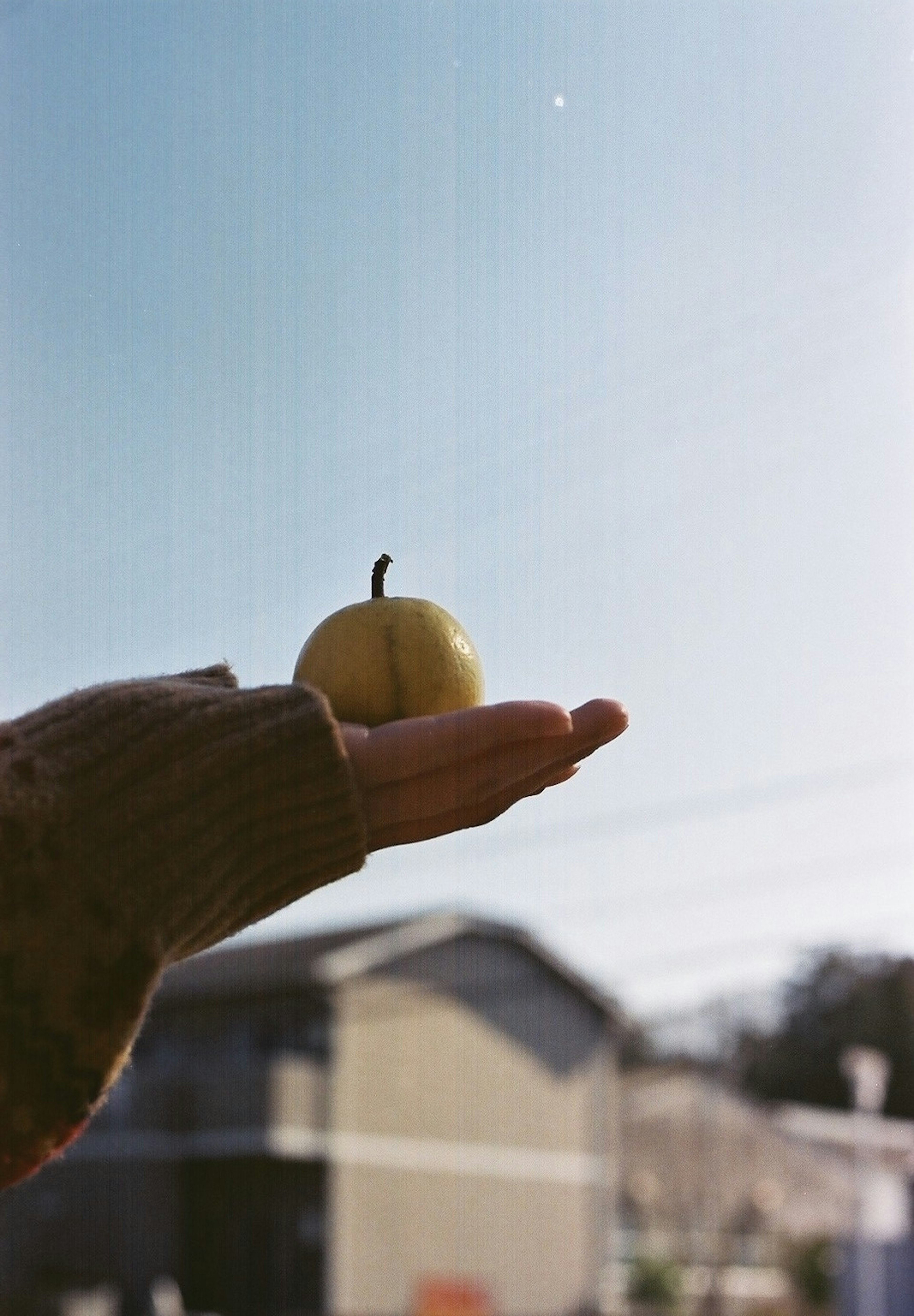 Una persona sosteniendo una pequeña manzana amarilla en su mano bajo un cielo azul claro