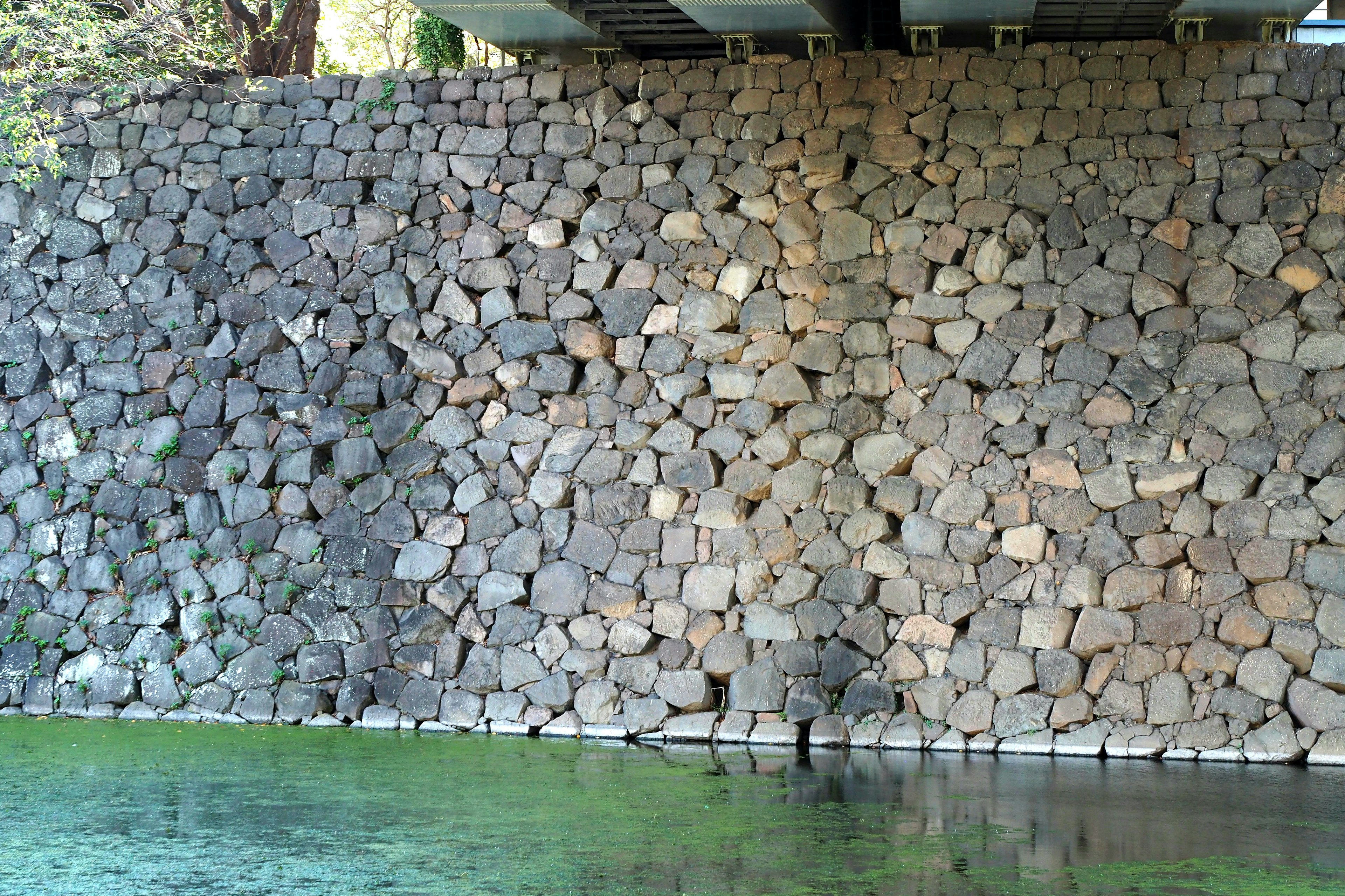 Muro de piedra con superficie de agua verde