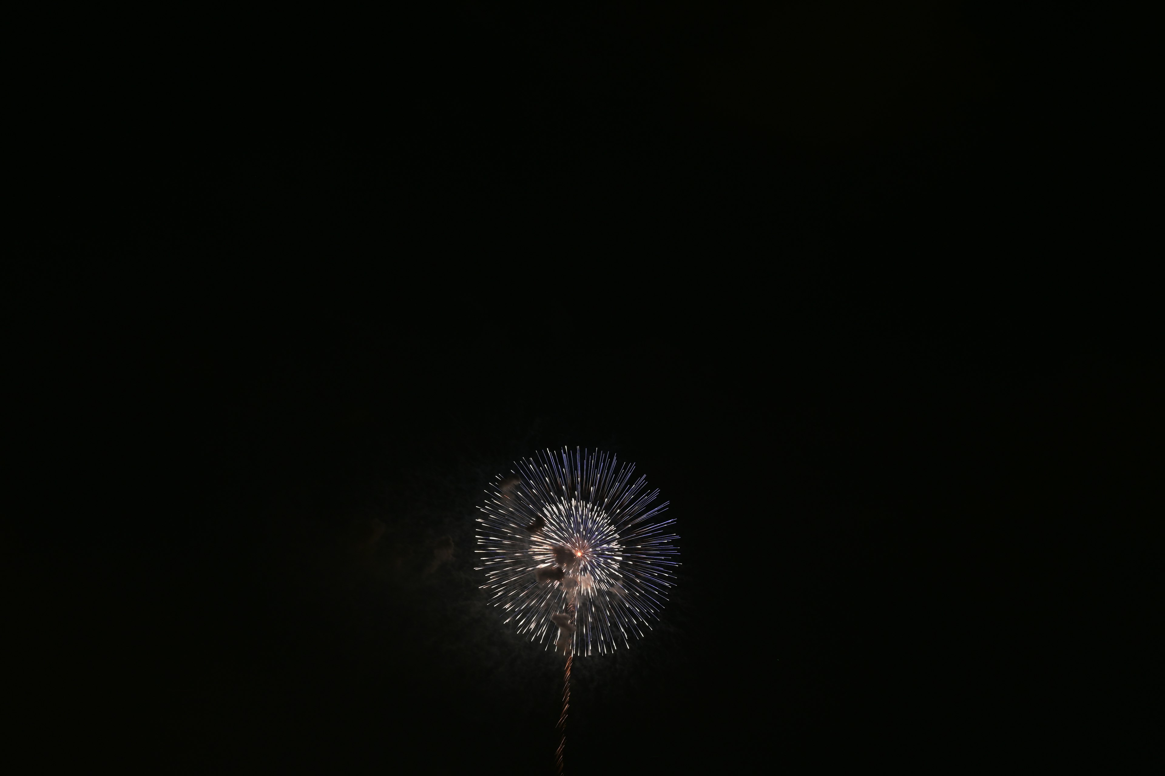 Firework resembling a white dandelion against a dark background