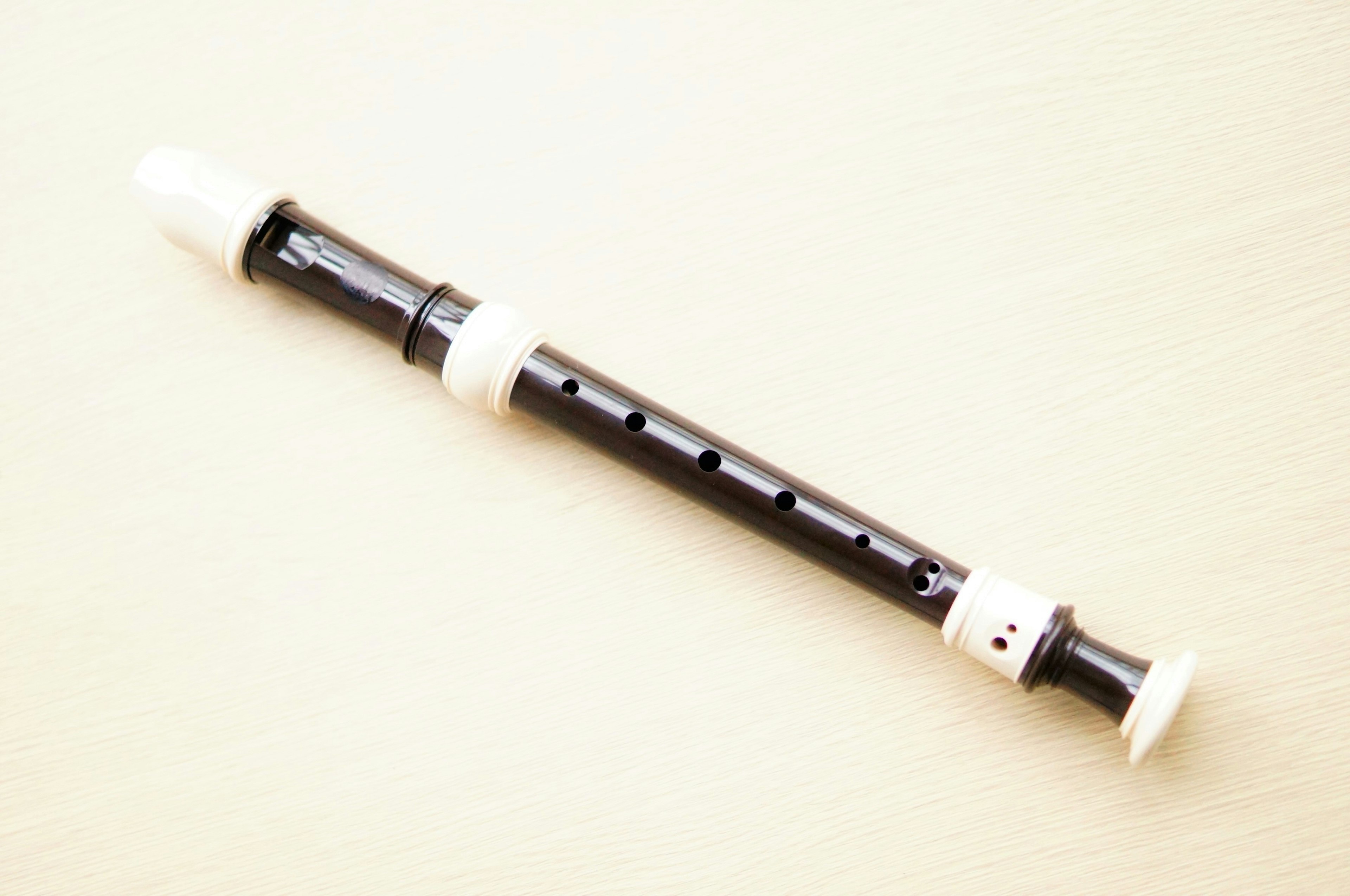 Recorder with black body and white accents