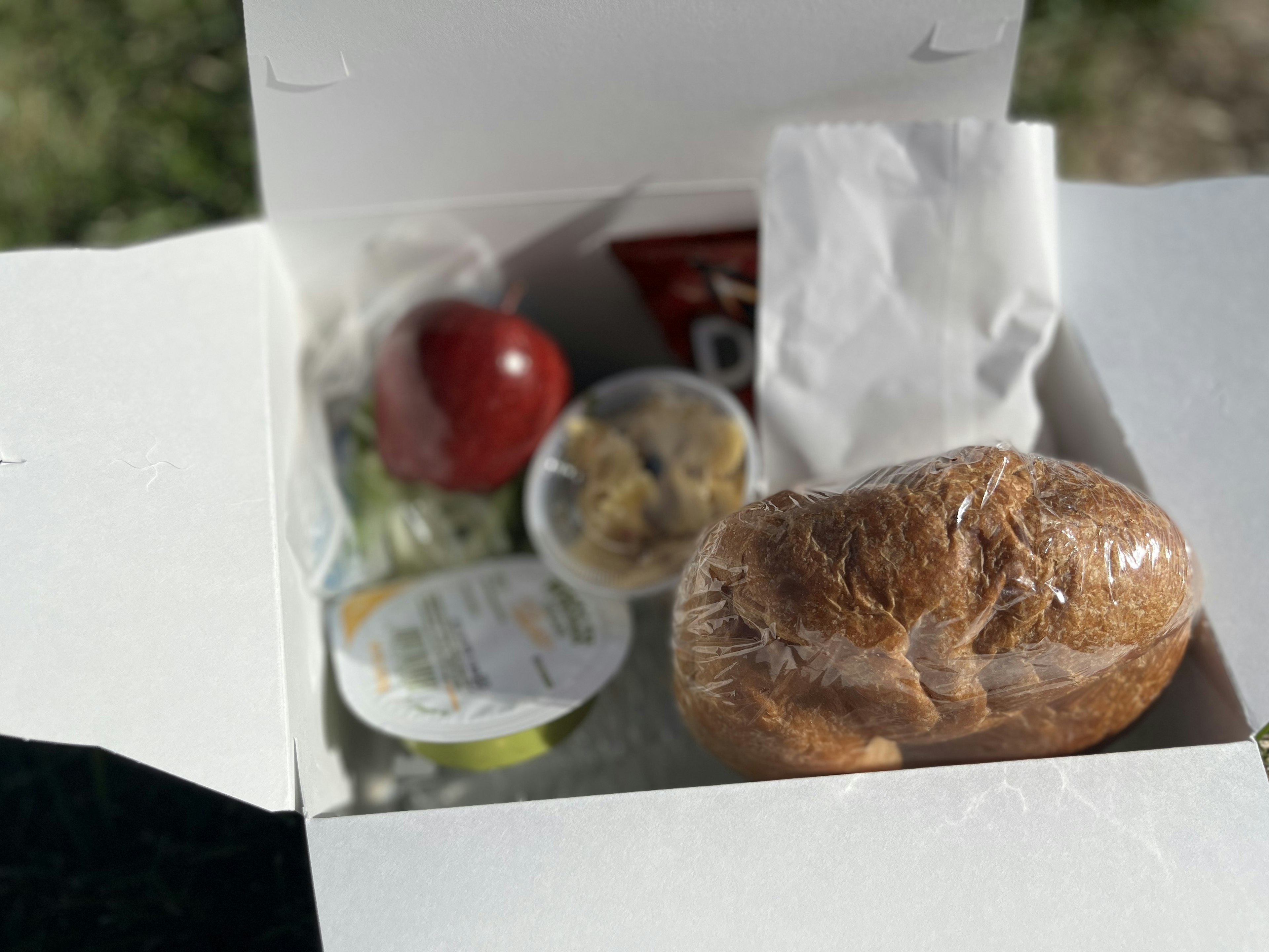 A takeout box filled with a sandwich an apple salad and snacks