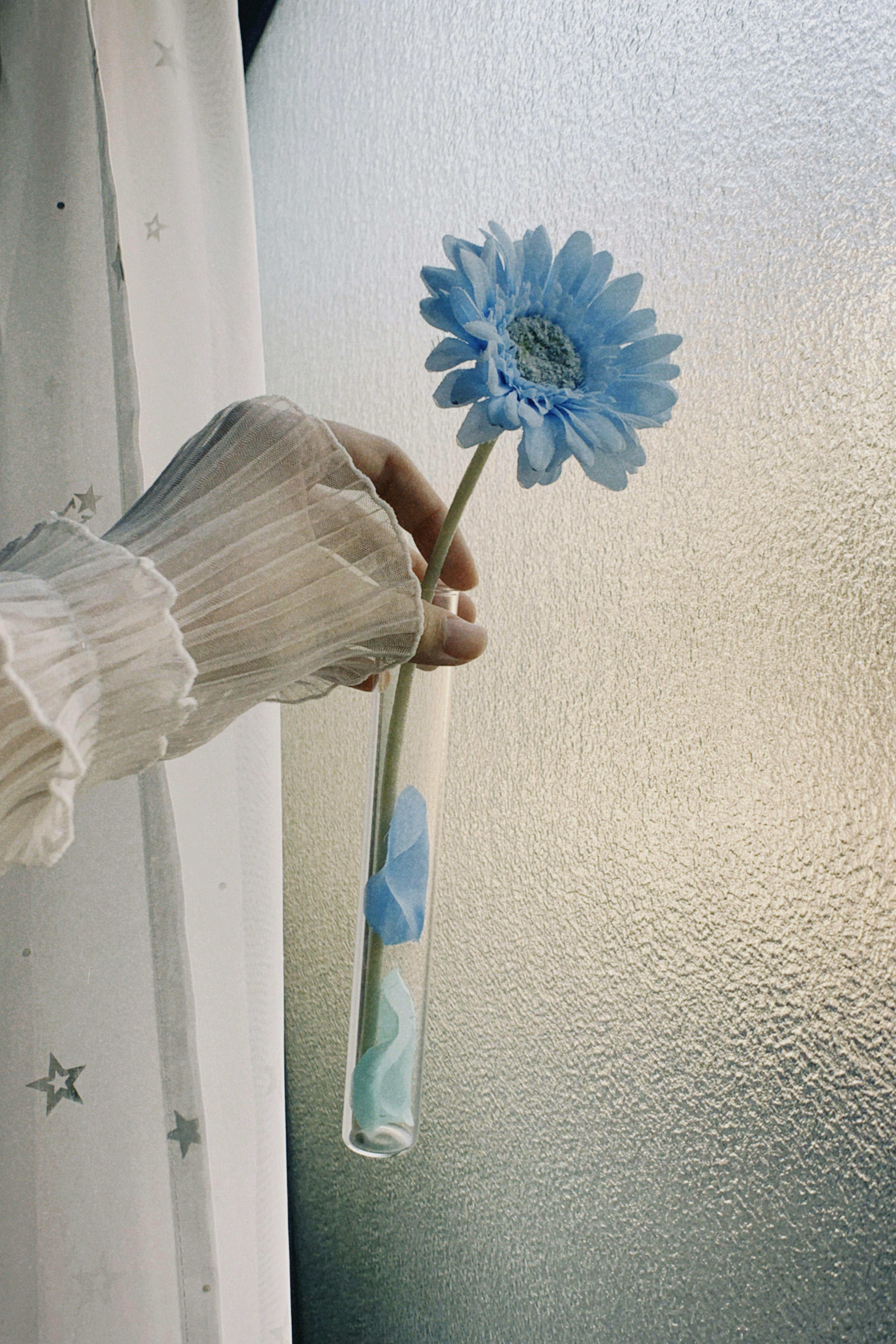 Mano sosteniendo una flor azul con un fondo borroso