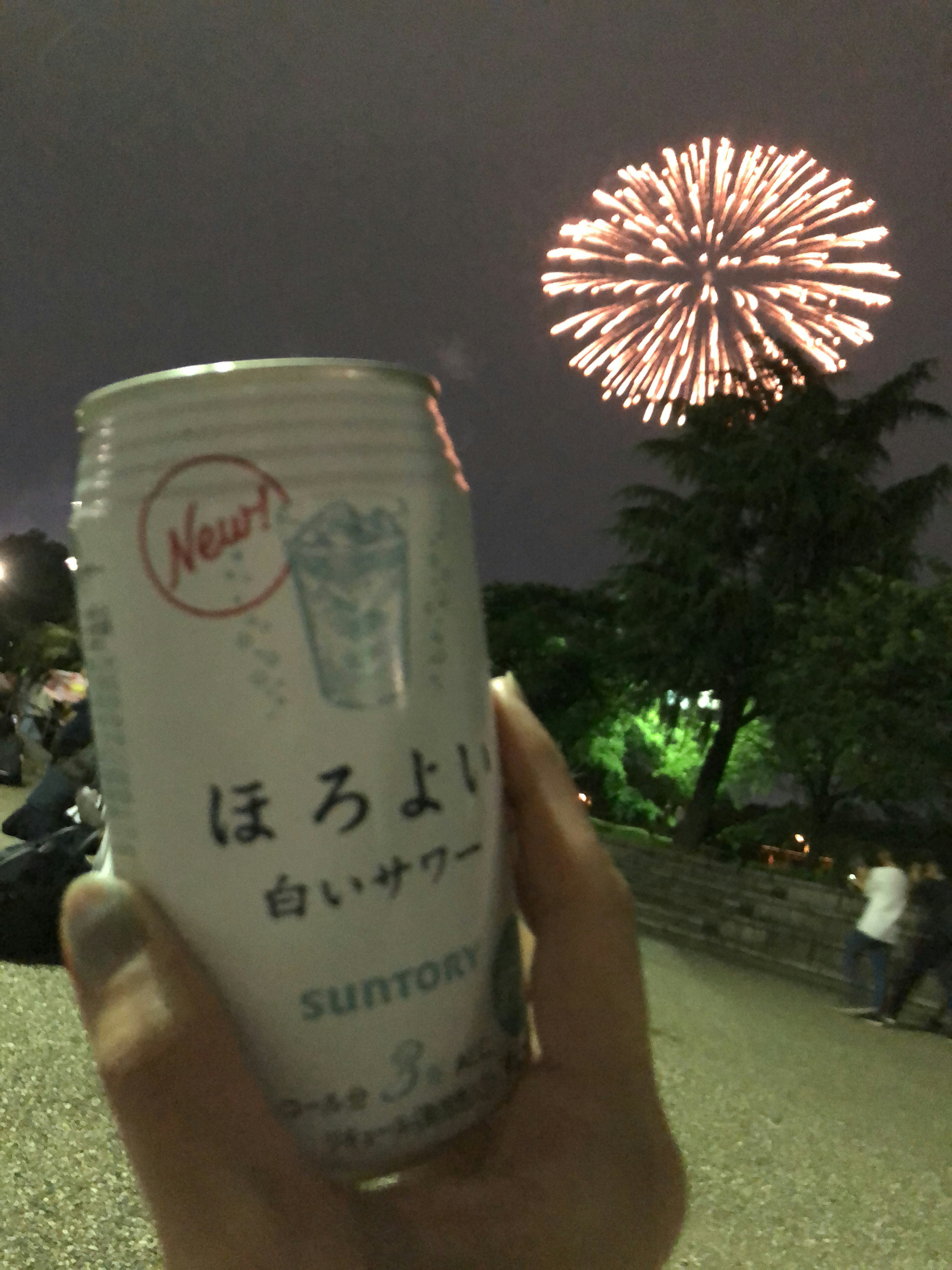 Hand holding a can of beer with fireworks in the background