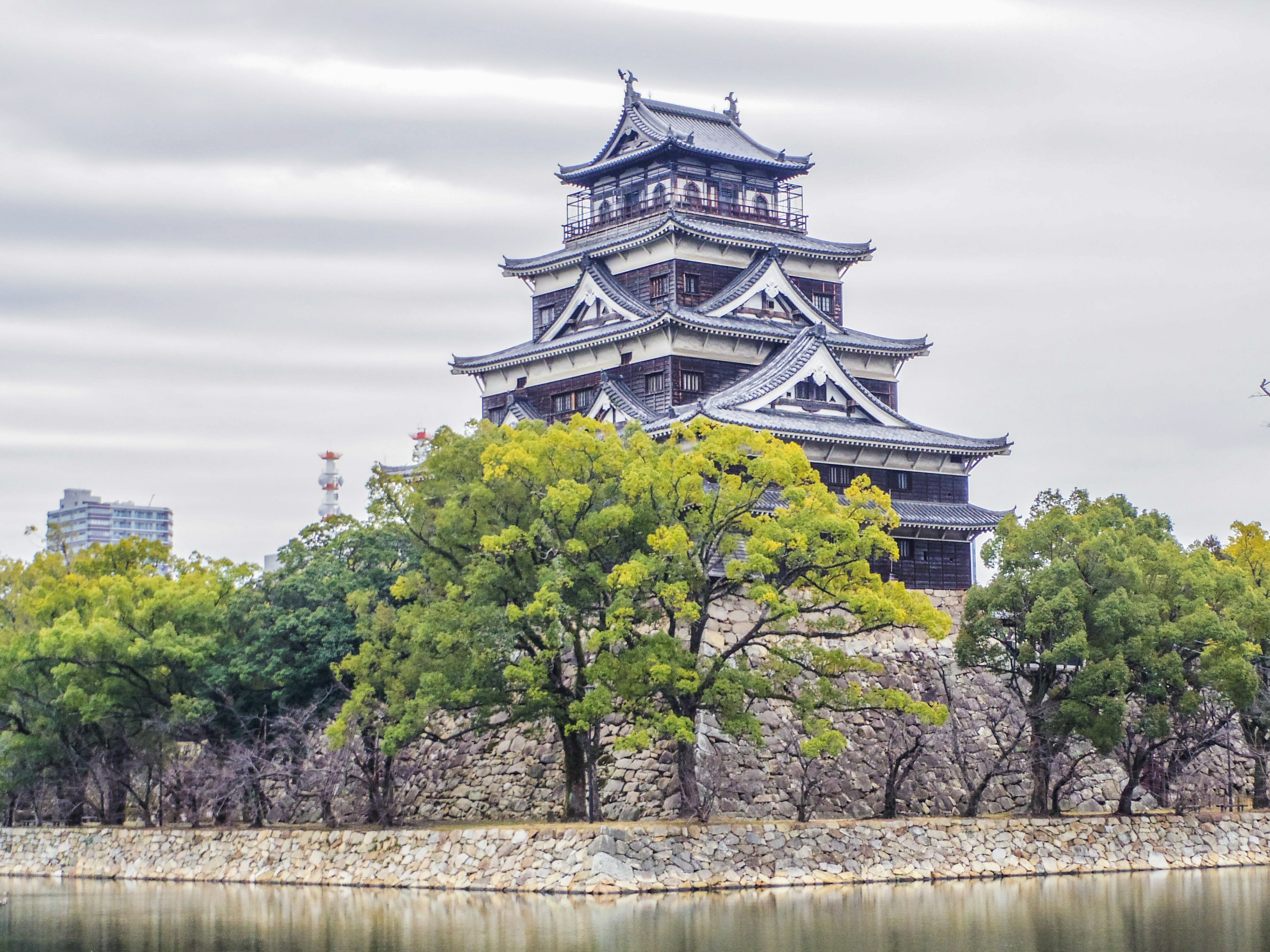 Traditionelles japanisches Schloss mit schwarzem Dach und weißen Wänden umgeben von grünen Bäumen