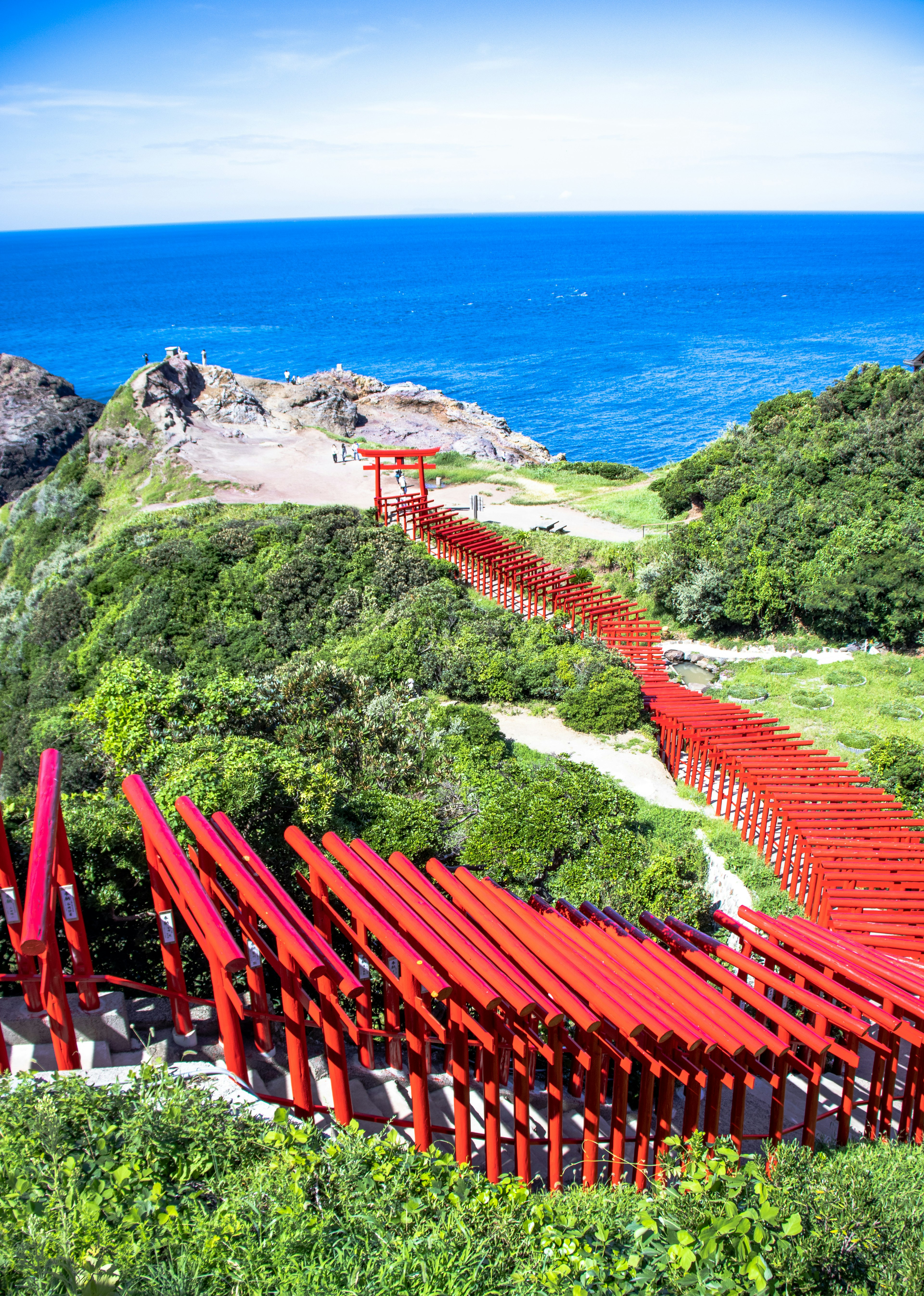 Un camino de torii rojos rodeado de colinas verdes y un océano azul