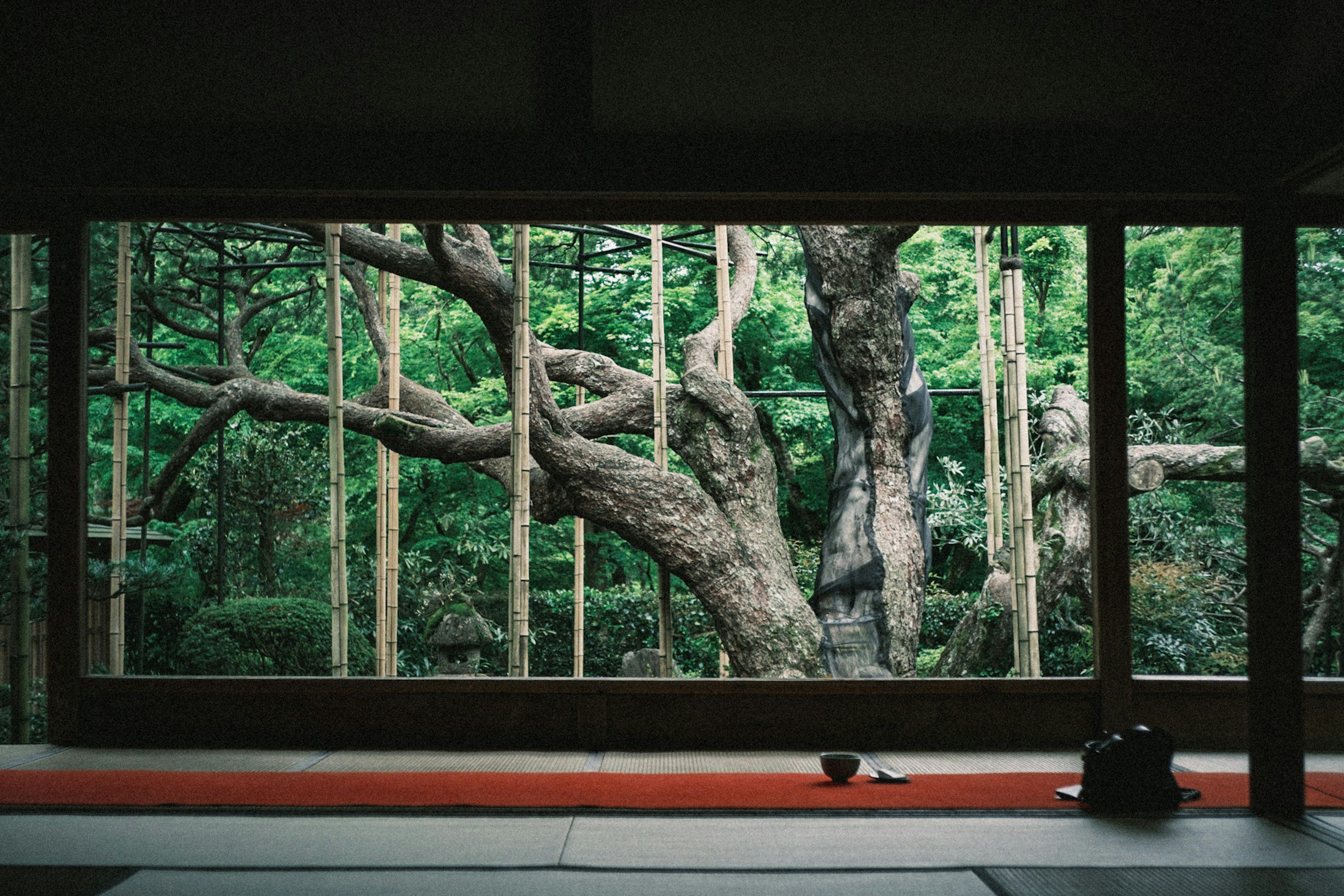 Vue d'une pièce japonaise traditionnelle montrant des arbres verts luxuriants