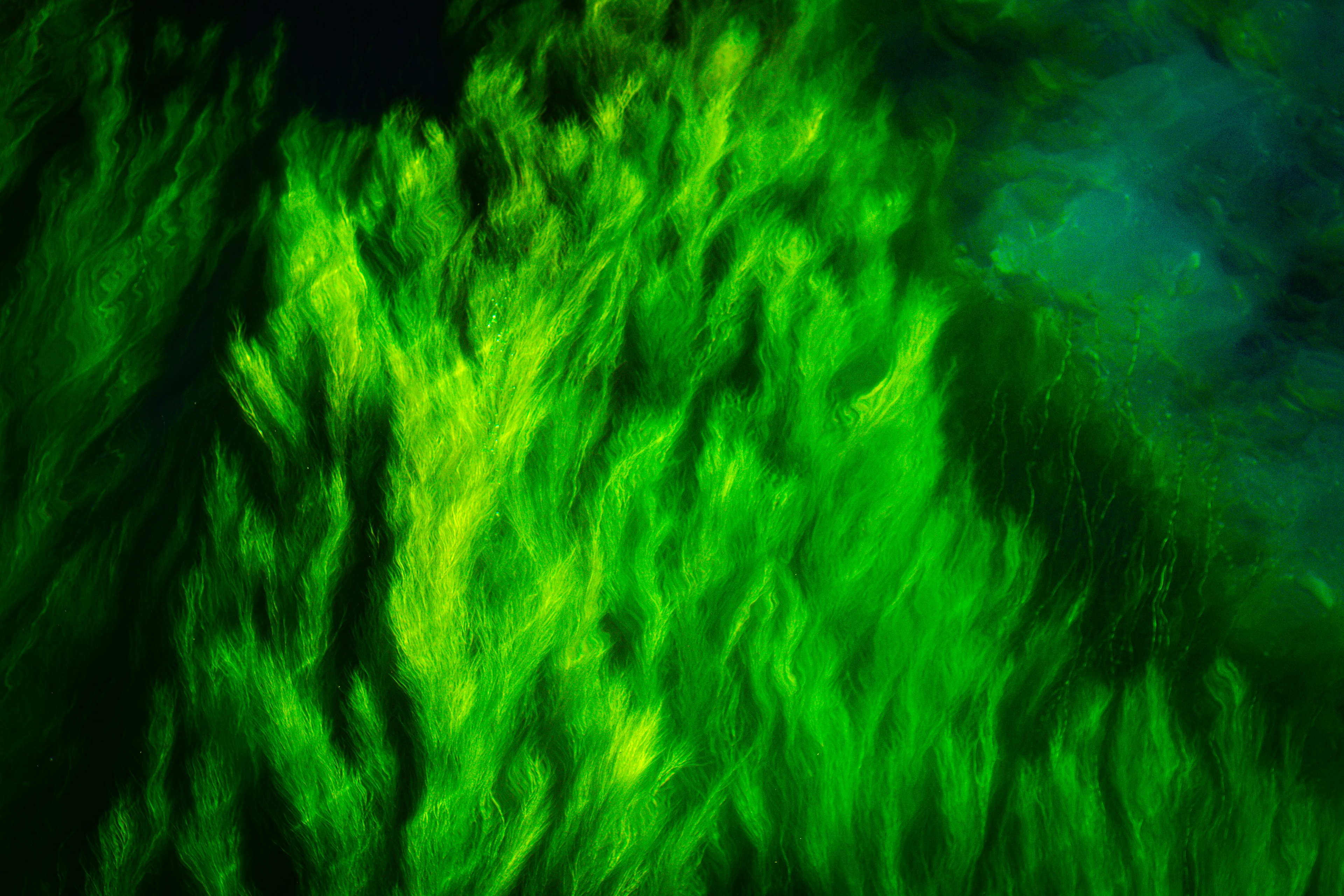 Abstract image featuring flowing green patterns against a deep blue background