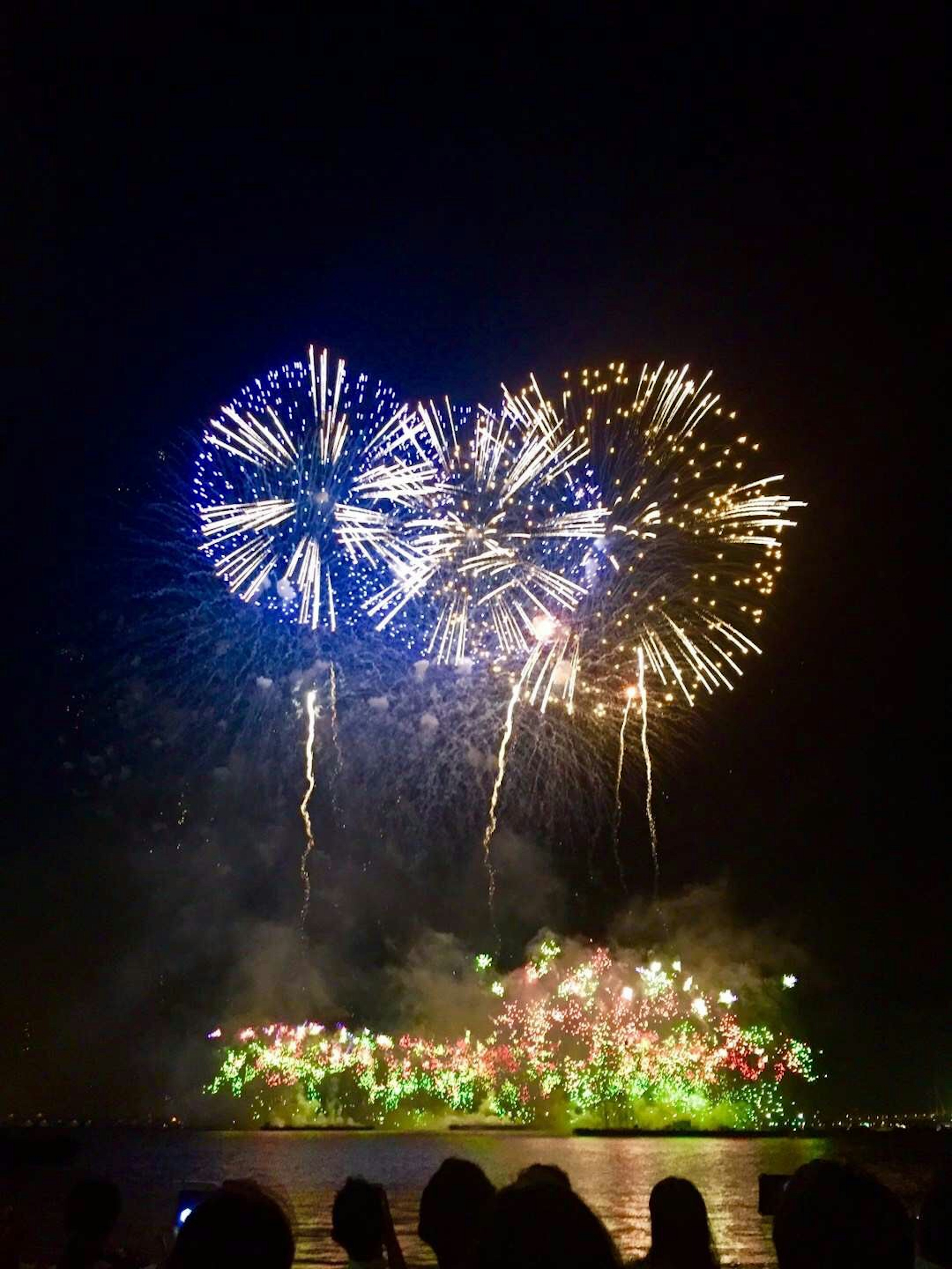 Fuegos artificiales coloridos estallando en el cielo nocturno sobre el agua