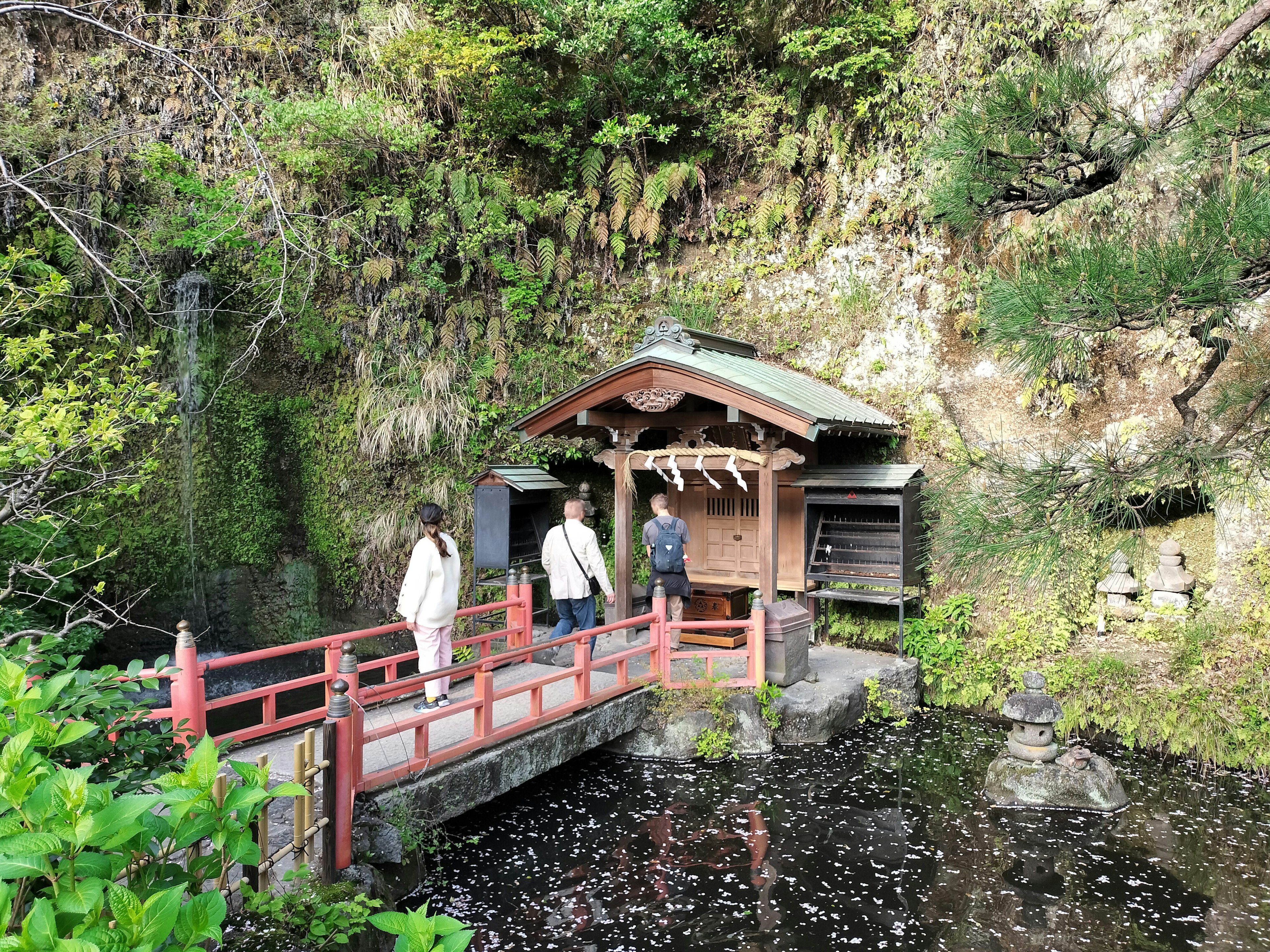 Une vue pittoresque avec un petit pont et un abri entourés de verdure